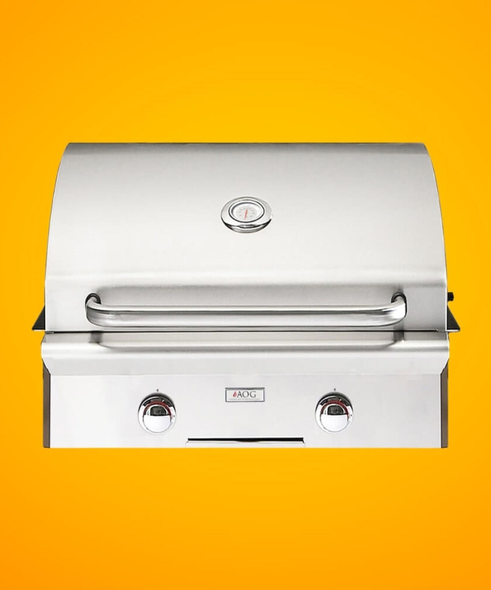 American Outdoor Grill L-Series 24-Inch 2-Burner Built-In Natural Gas Grill [24NBL-00SP] (SAK10834)