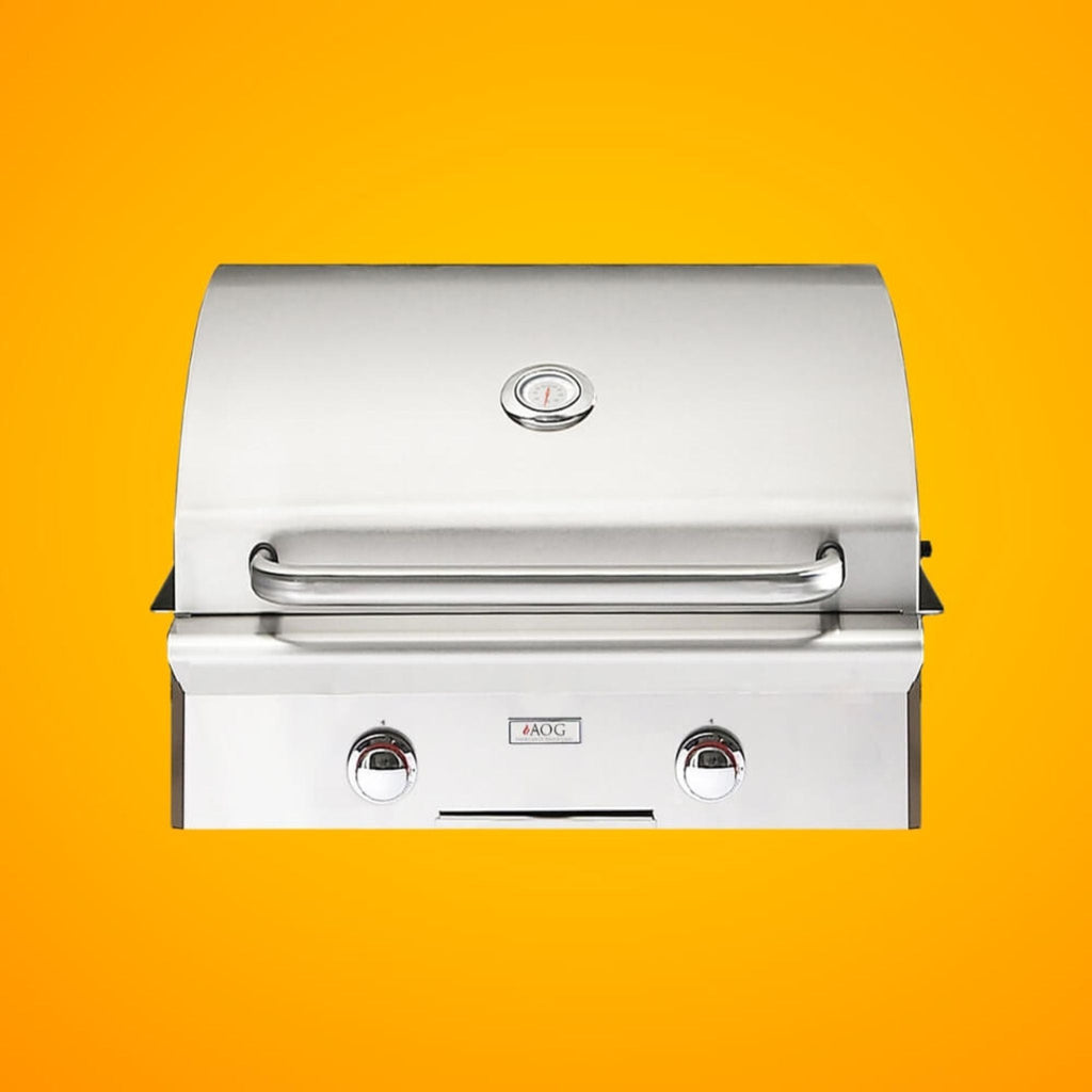 American Outdoor Grill L-Series 24-Inch 2-Burner Built-In Natural Gas Grill [24NBL-00SP] (SAK10834)