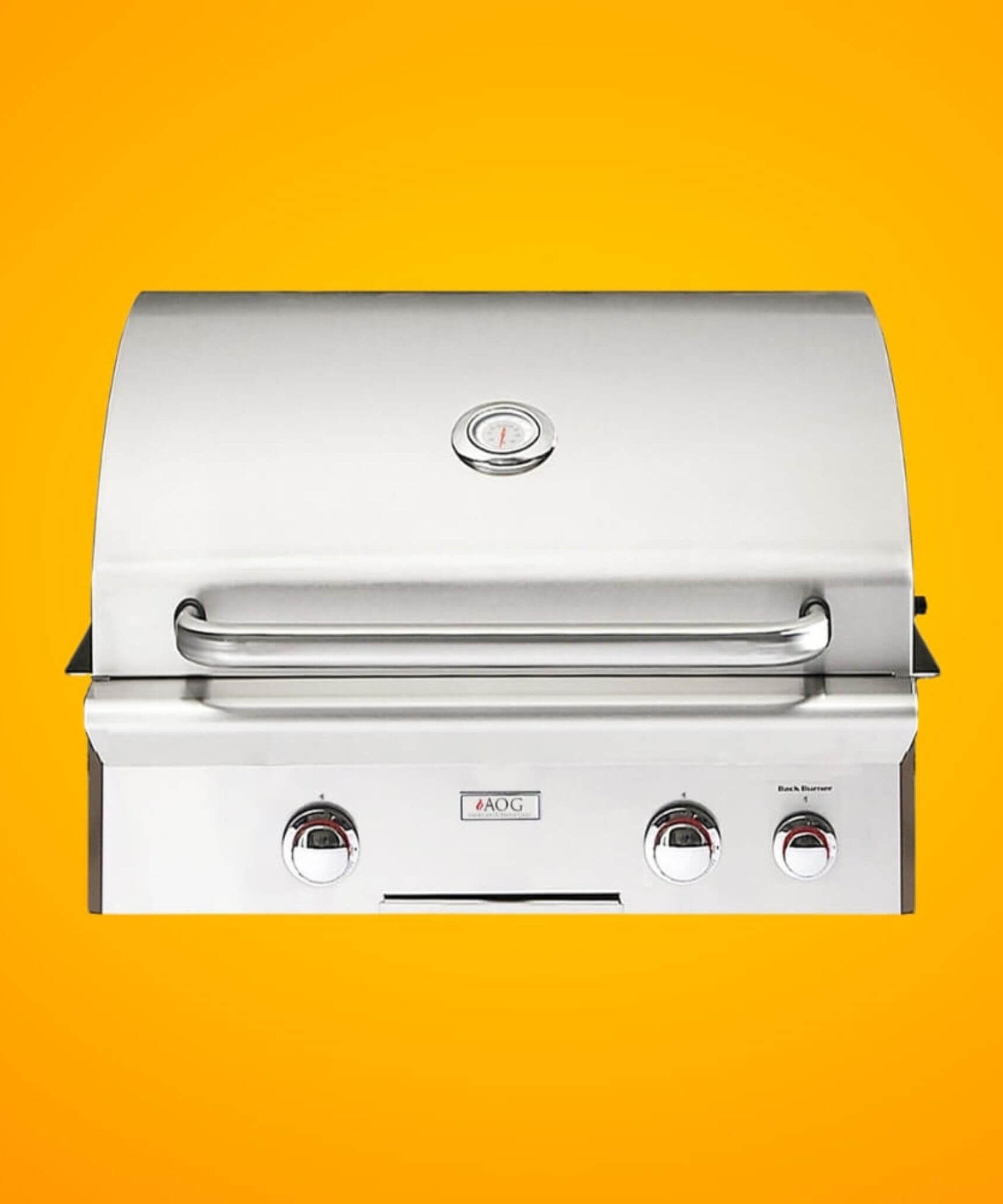 American Outdoor Grill L-Series 24-Inch 2-Burner Built-In Natural Gas Grill W/ Rotisserie Kit [24NBL] (SAK81425)