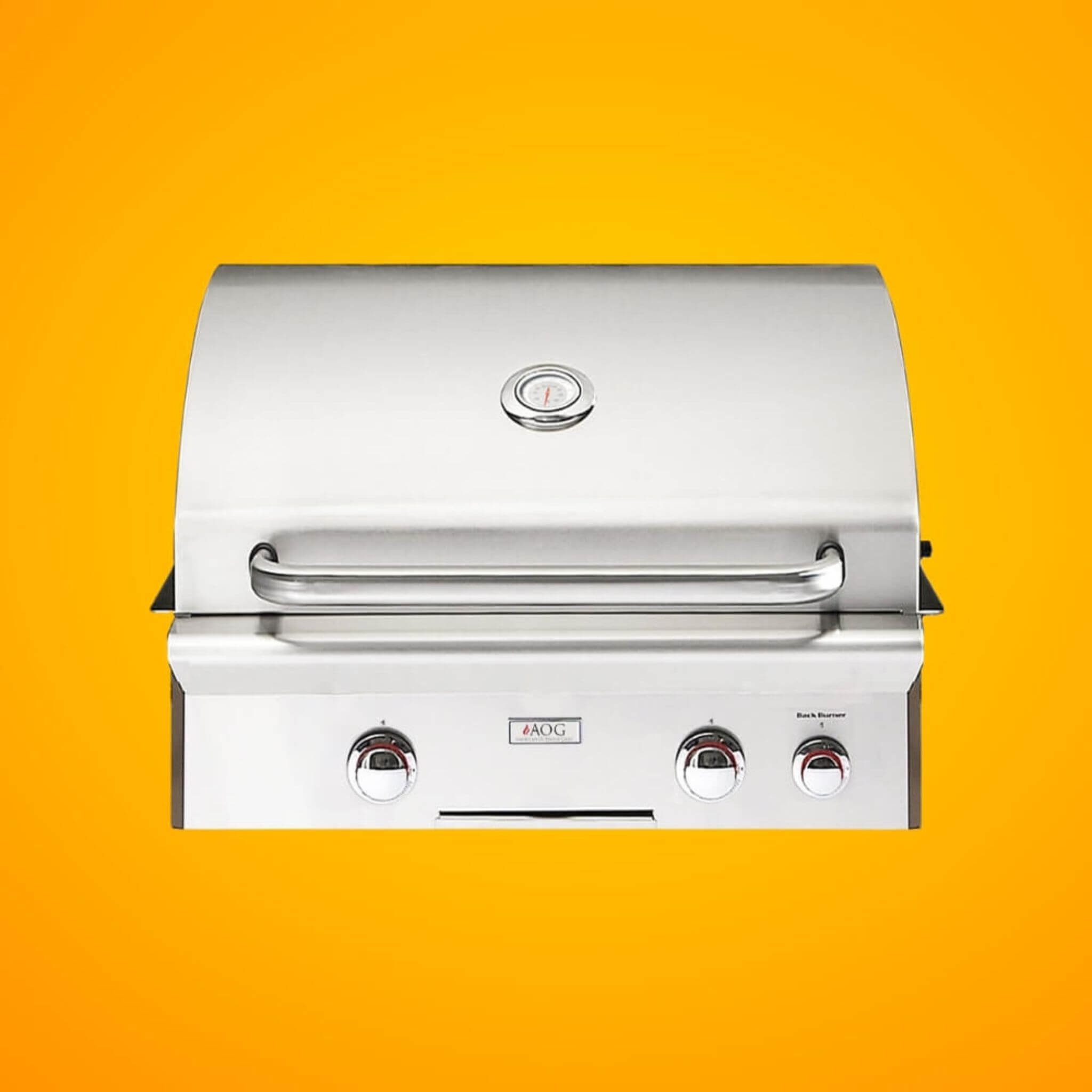 American Outdoor Grill L-Series 24-Inch 2-Burner Built-In Natural Gas Grill W/ Rotisserie Kit [24NBL] (SAK81425)
