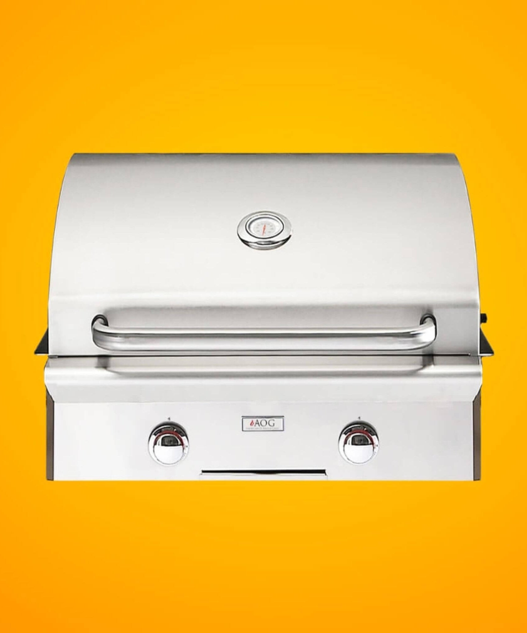 American Outdoor Grill T-Series 24-Inch 2-Burner Built-In Natural Gas Grill [24NBT-00SP] (SAK58391)