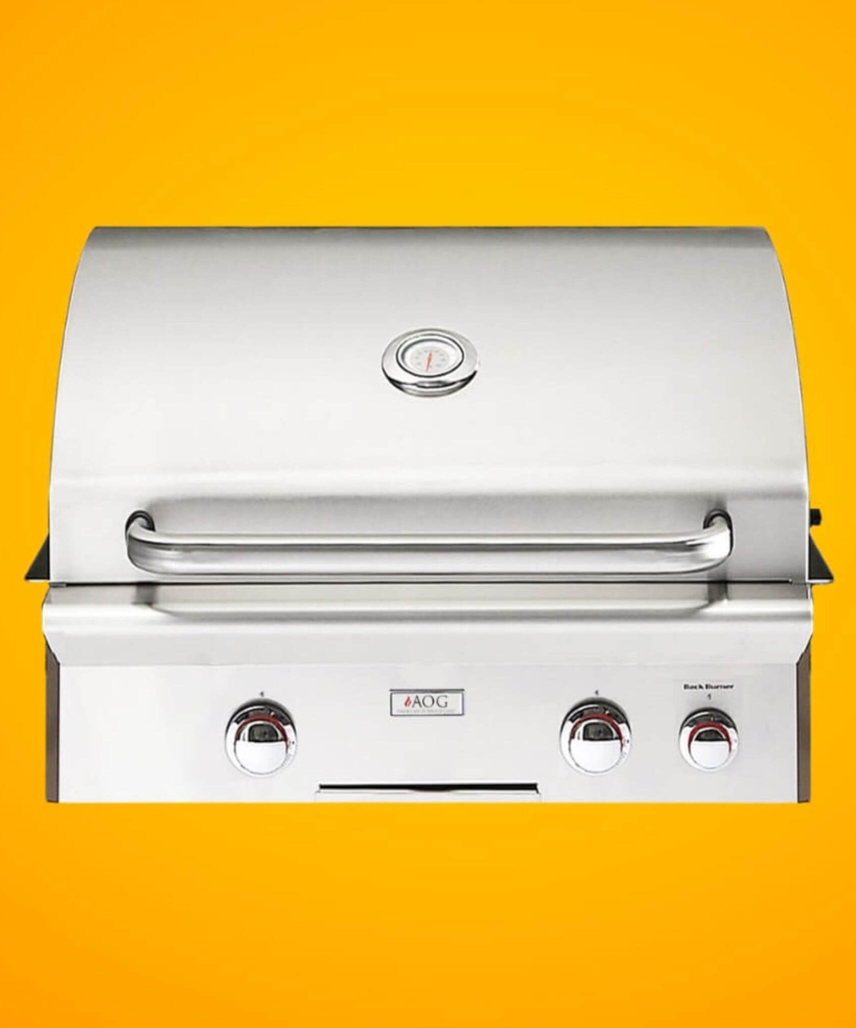 American Outdoor Grill T-Series 24-Inch 2-Burner Built-In Natural Gas Grill W/ Rotisserie Kit [24NBT] (SAK65205)