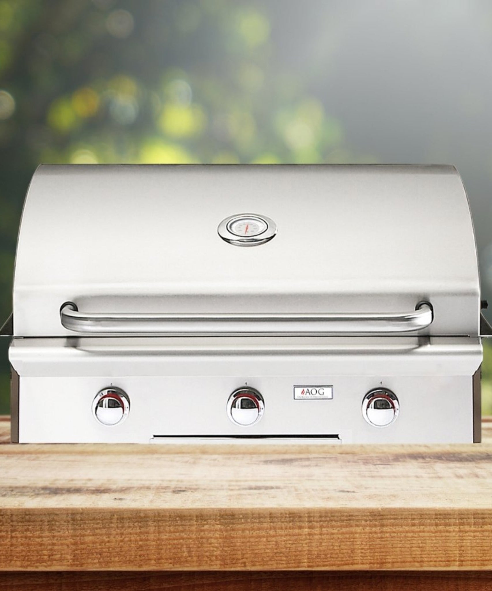 American Outdoor Grill L-Series 30-Inch 3-Burner Built-In Natural Gas Grill [30NBL-00SP] (SAK02335)