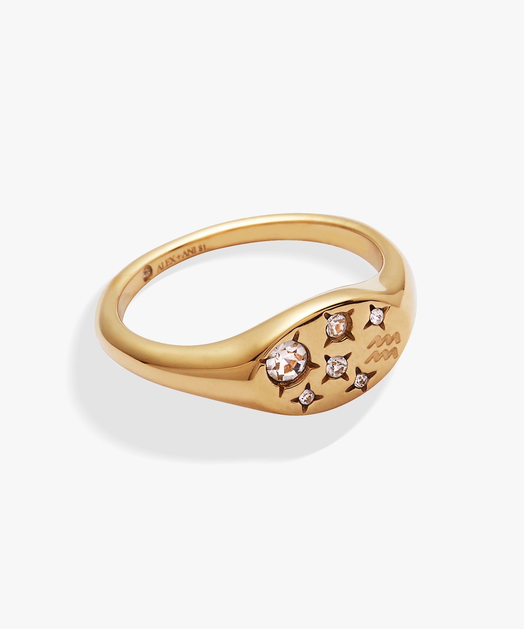 Aquarius Zodiac Ring