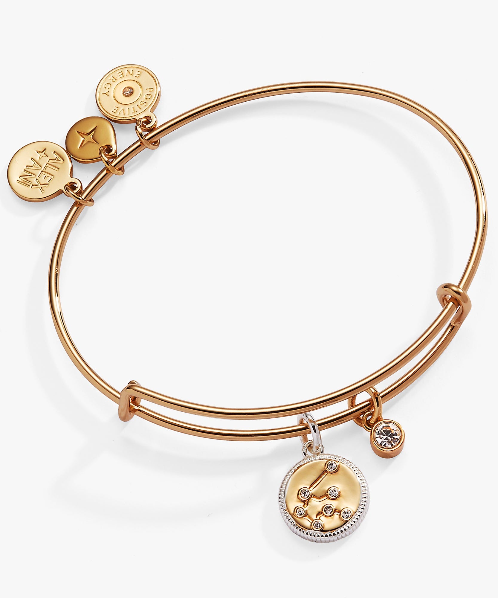 Aquarius Zodiac Charm Bangle