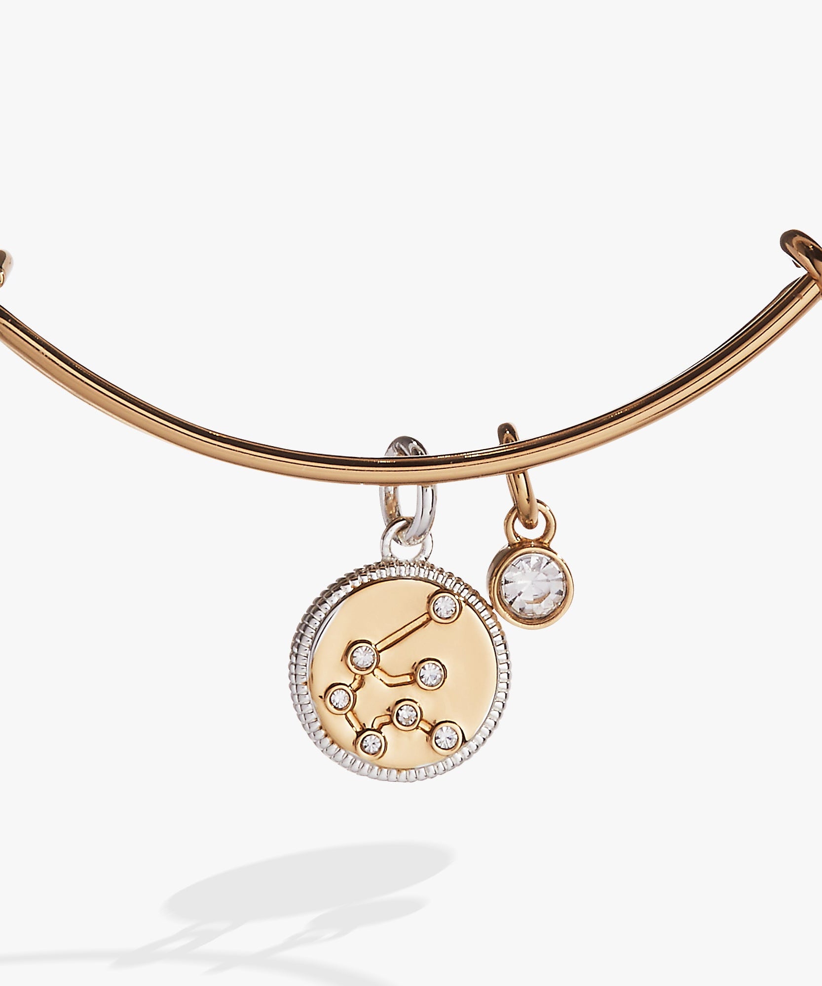 Aquarius Zodiac Charm Bangle