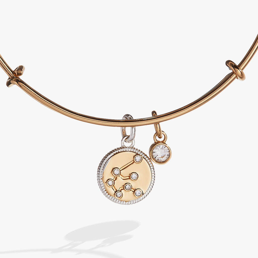 Aquarius Zodiac Charm Bangle