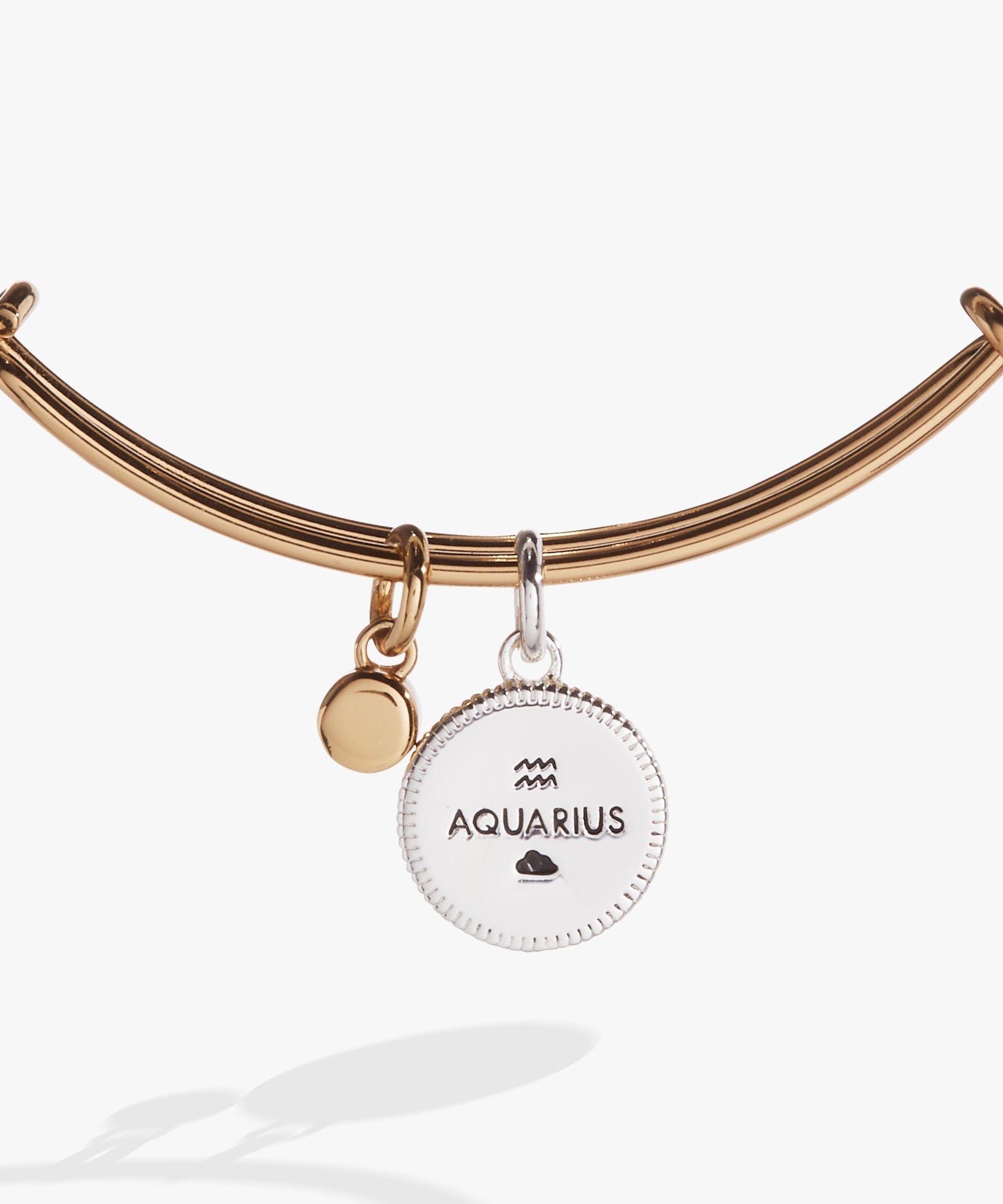 Aquarius Zodiac Charm Bangle