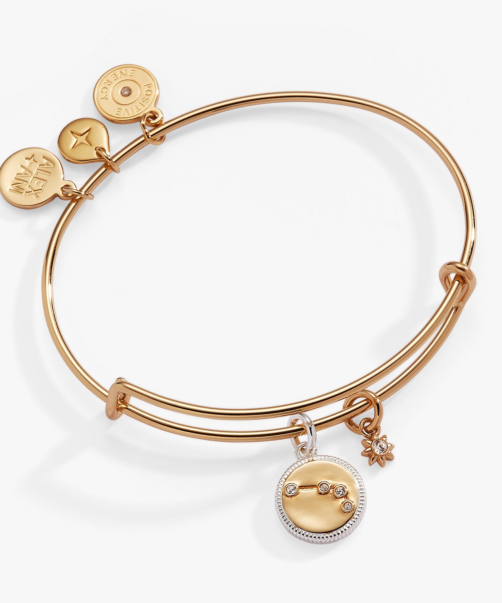 Aries Zodiac Charm Bangle