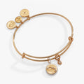 Aries Zodiac Charm Bangle