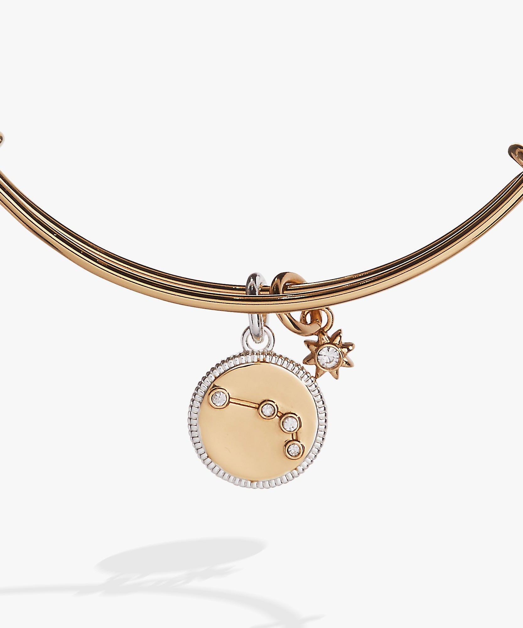 Aries Zodiac Charm Bangle