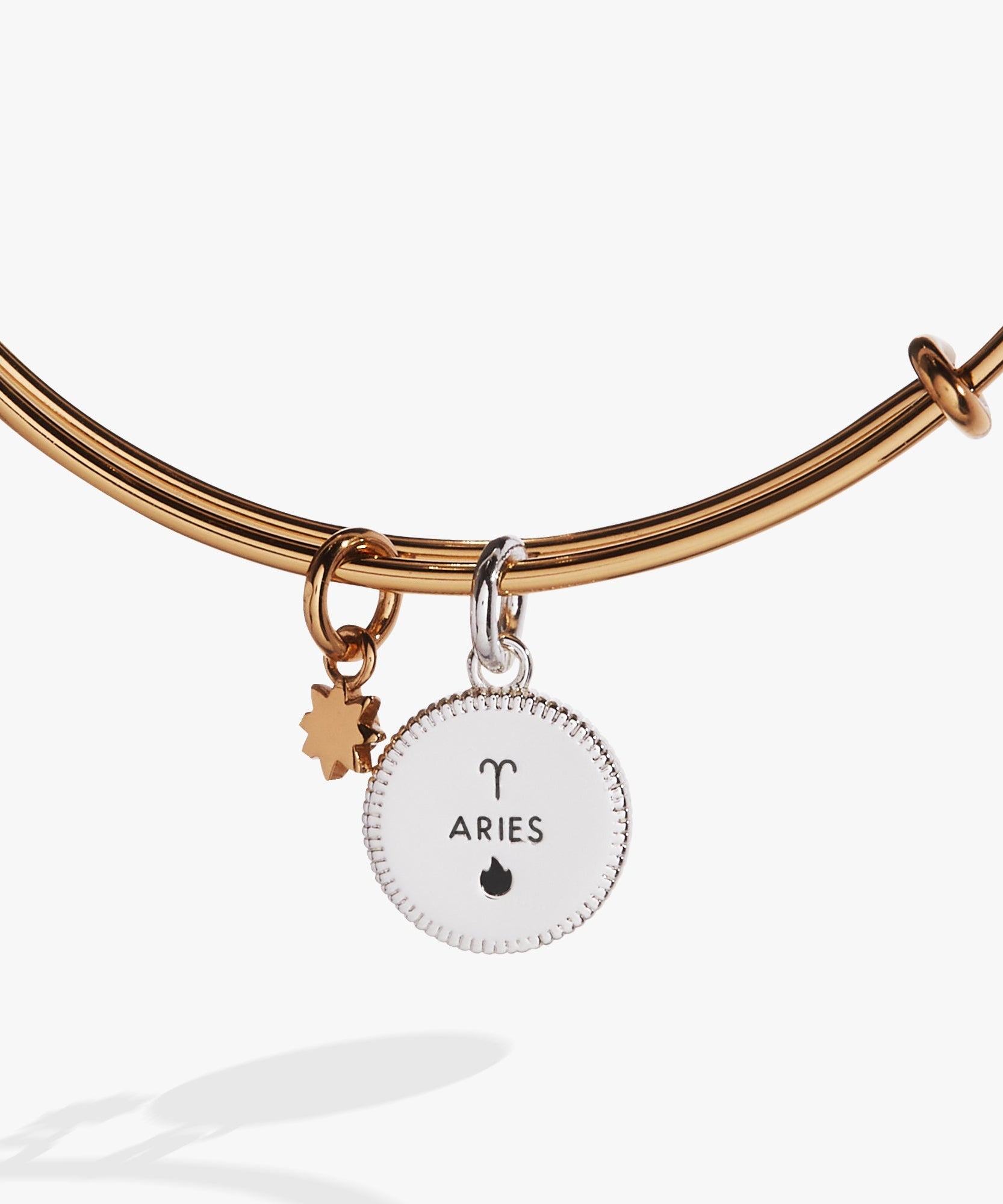Aries Zodiac Charm Bangle