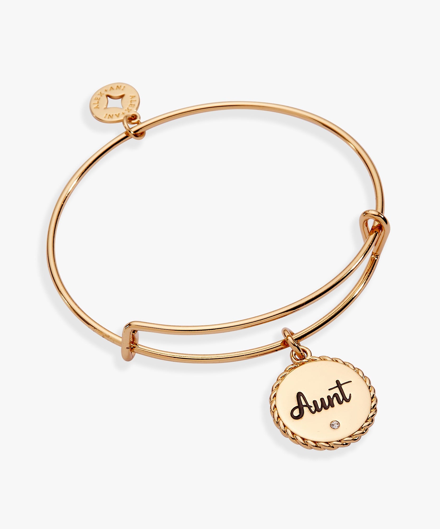 Aunt 'A Trusting Guide Forever By My Side' Charm Bangle