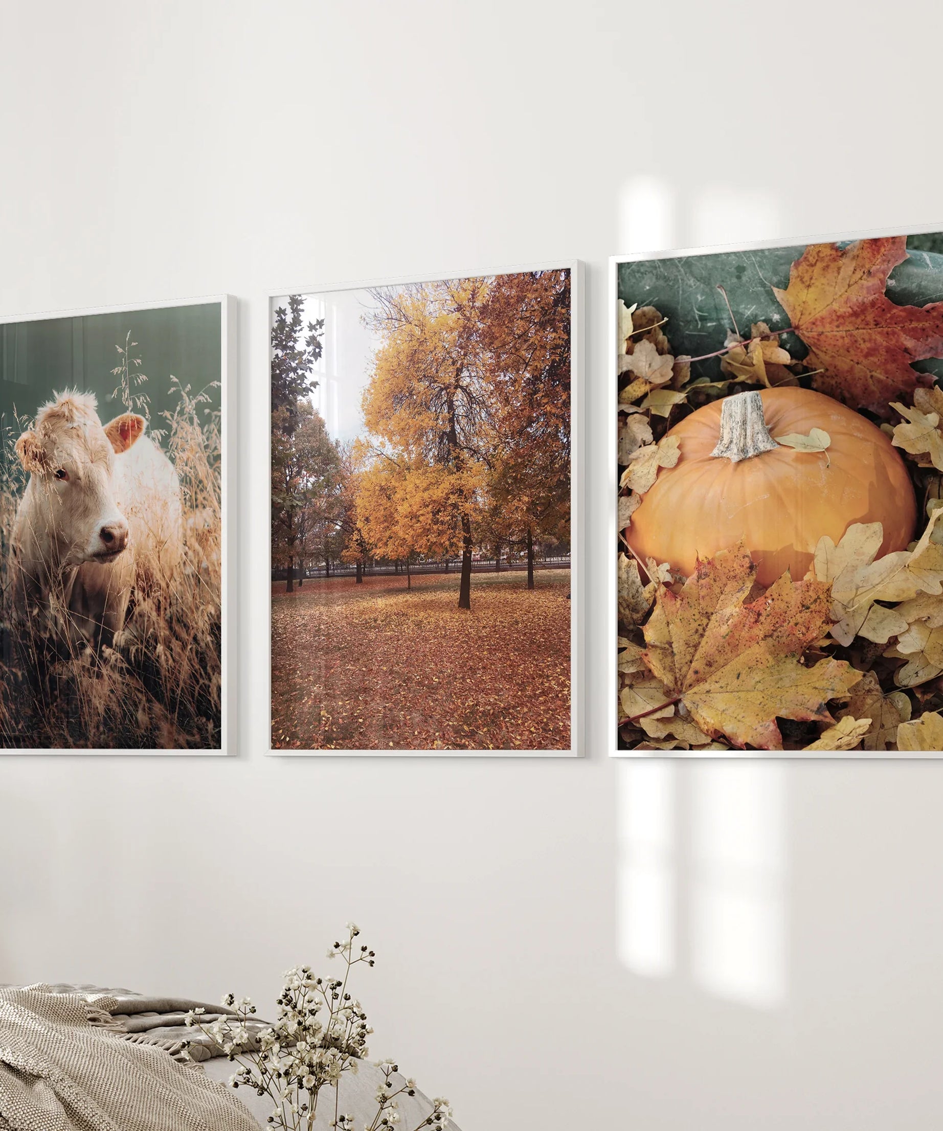 Autumn Farmhouse Prints. Cow, Fall Trees, Pumpkin Decor