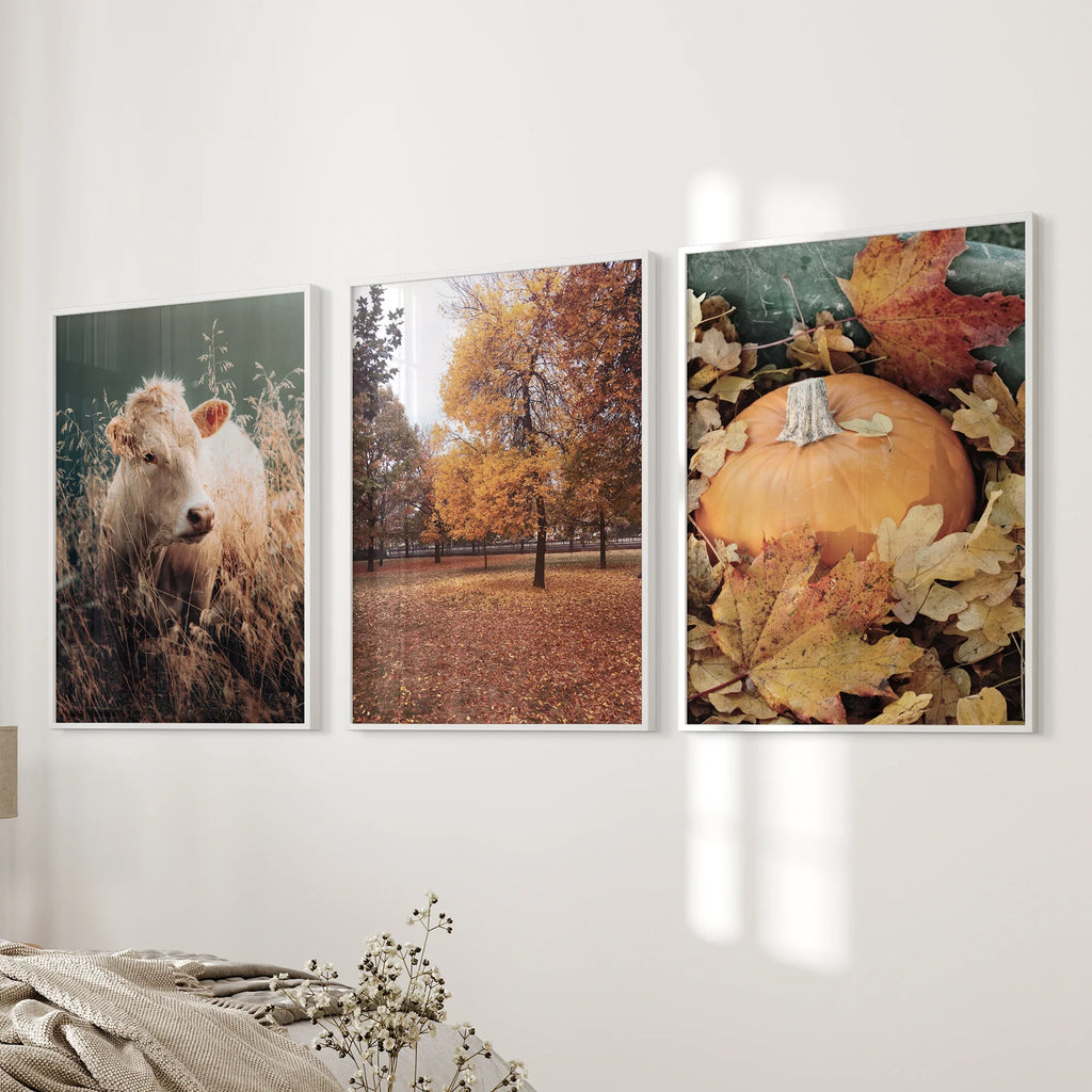 Autumn Farmhouse Prints. Cow, Fall Trees, Pumpkin Decor