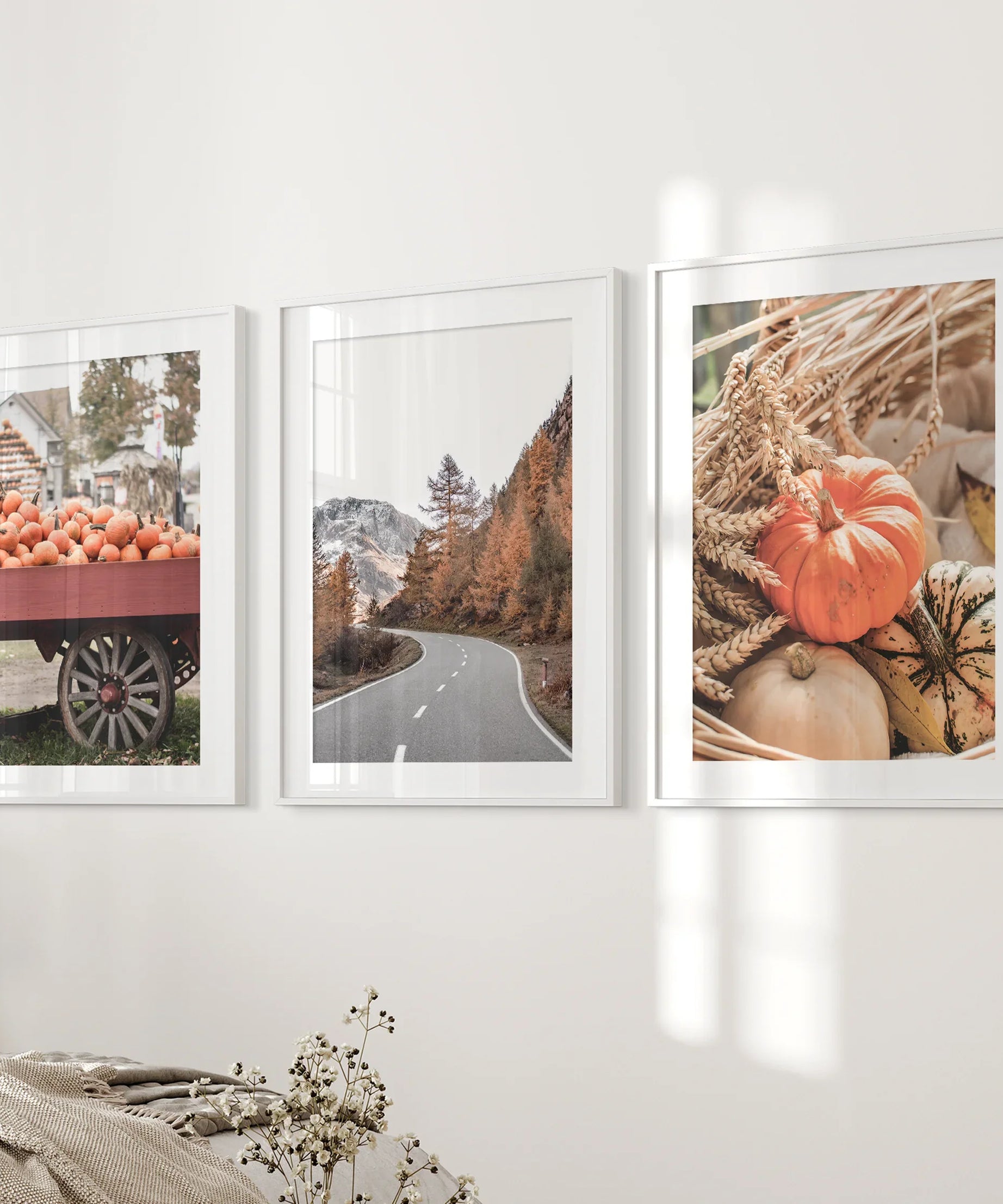Autumn Pumpkin Set of 3 Prints. Rustic Fall Harvest Decor