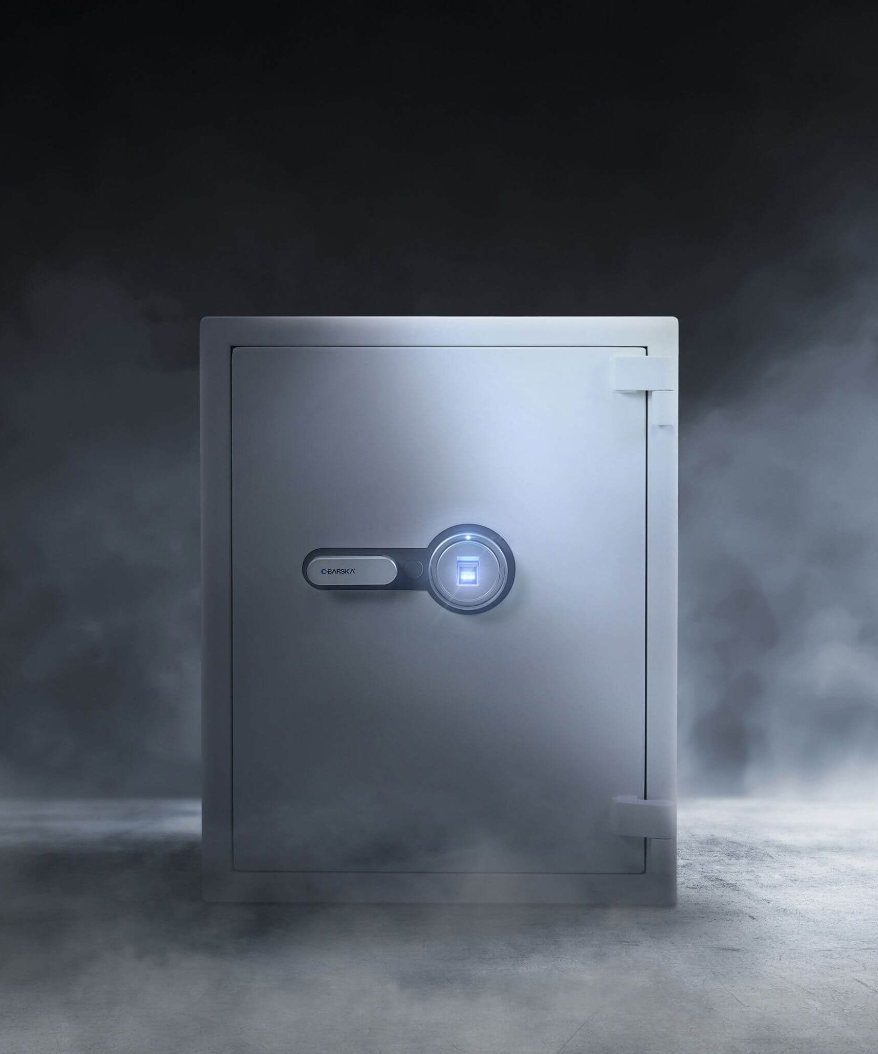 Barska 4.48 CF Large Heavy-Duty Fireproof Biometric Safe (SAK83490)