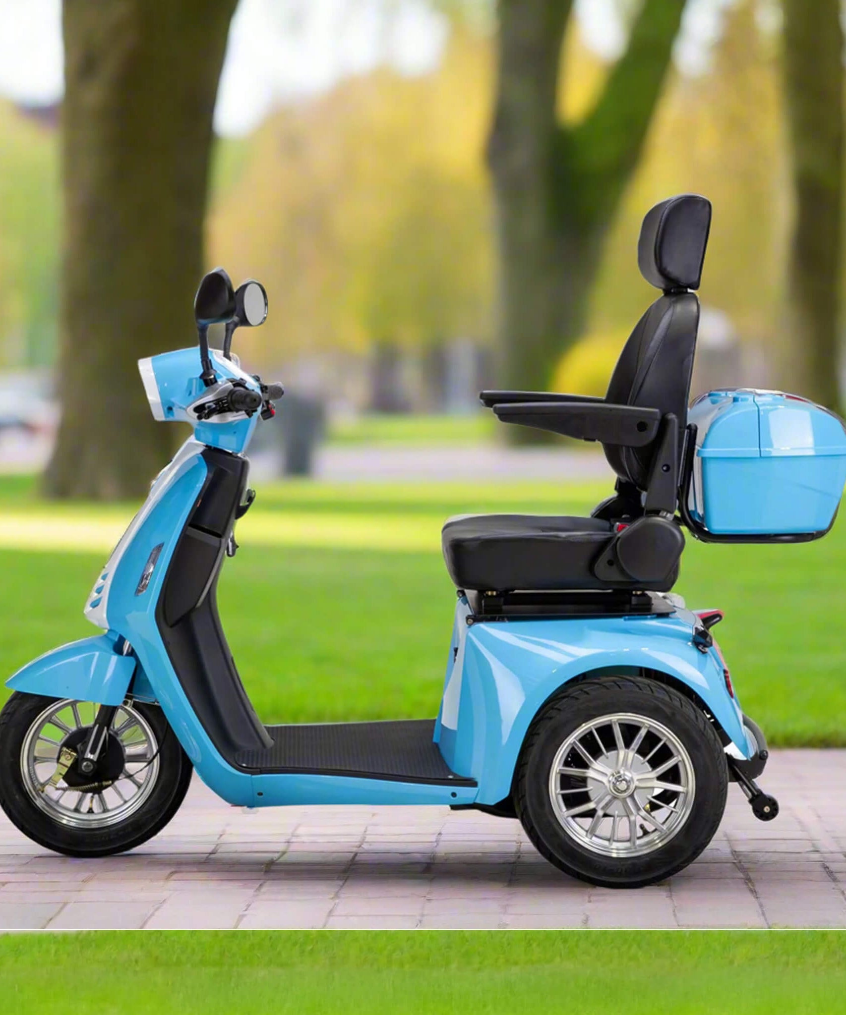 Maßgeschneiderter Elite Premium Elektromobilitätsroller mit elektronischer Geschwindigkeitsregelung, 400LBS (SAK29053)