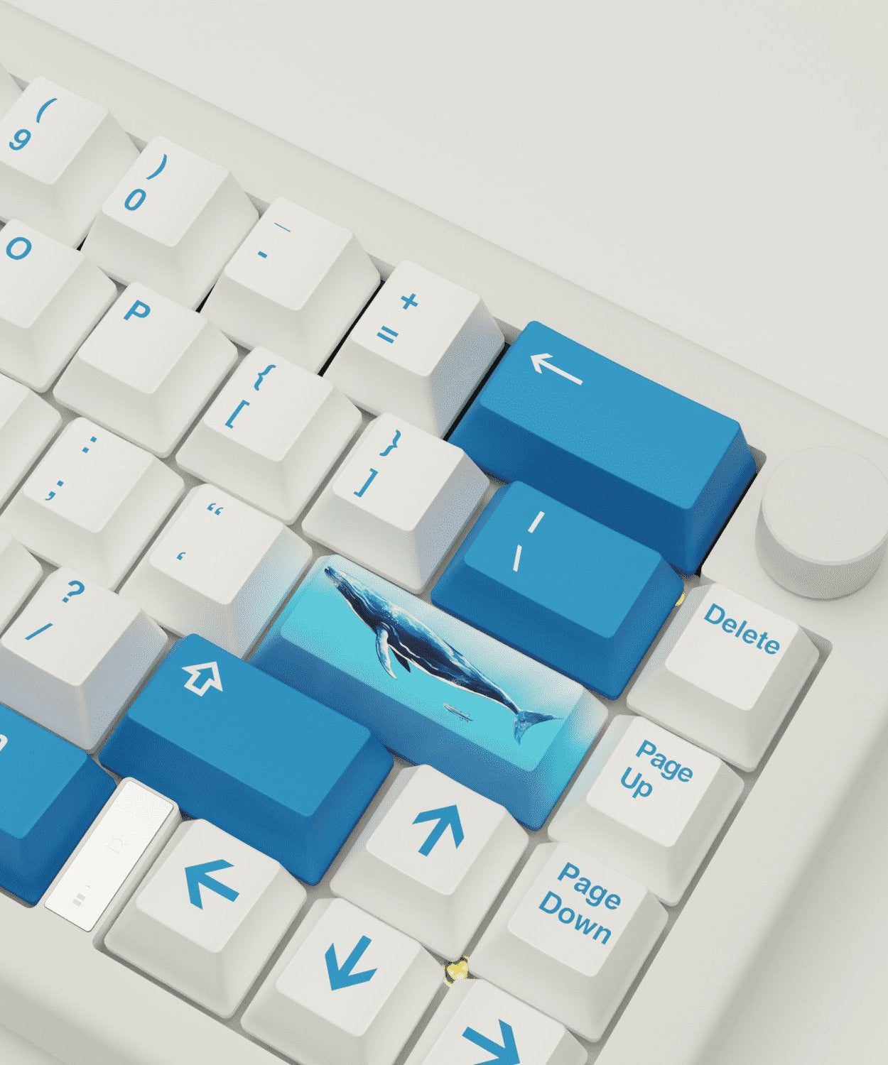 Blue Whale Design Keycaps and Mechanical Keyboard