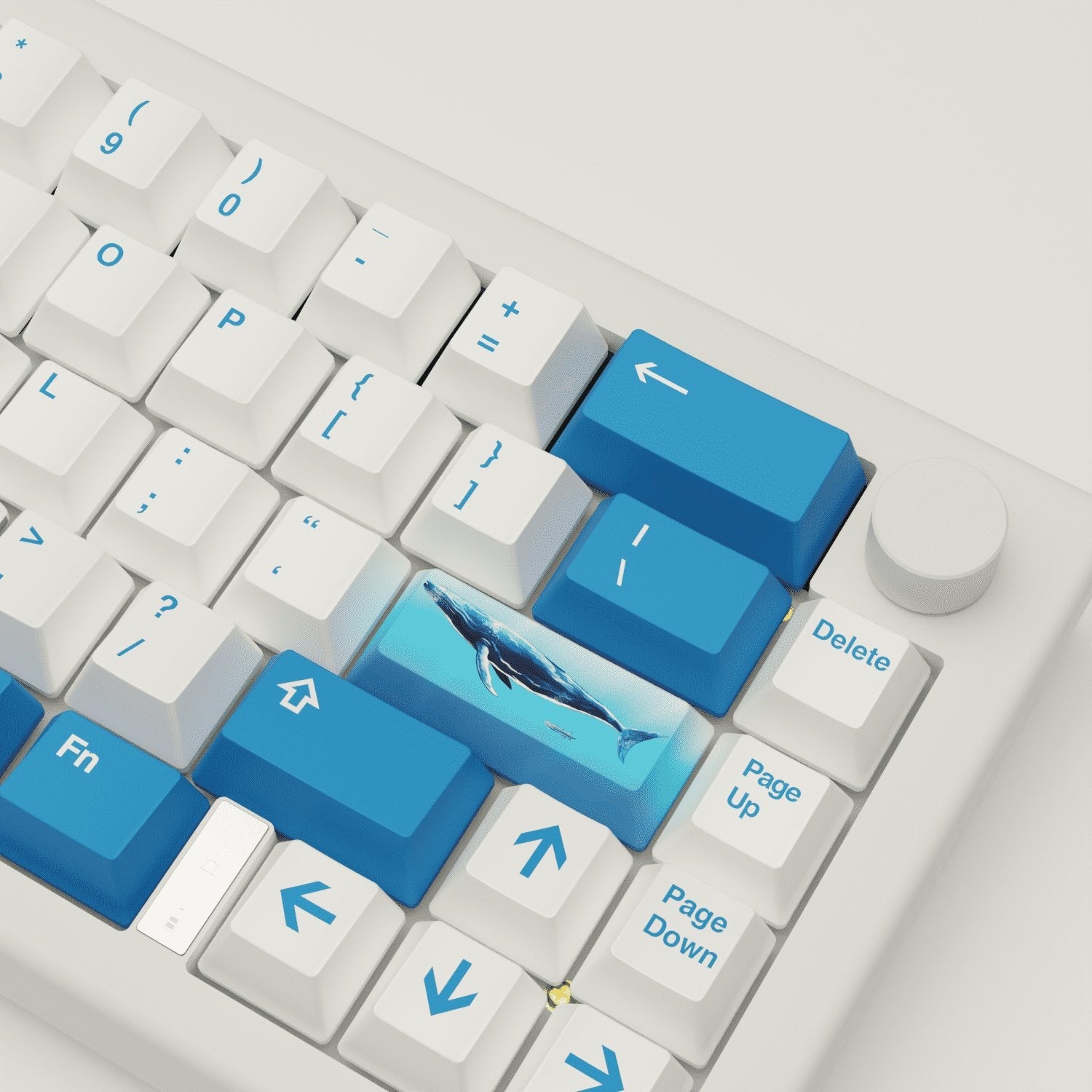 Blue Whale Design Keycaps and Mechanical Keyboard