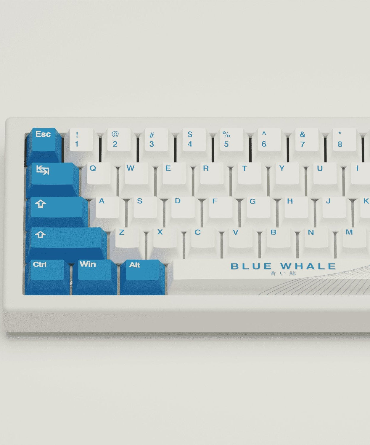 Blue Whale Design Keycaps and Mechanical Keyboard