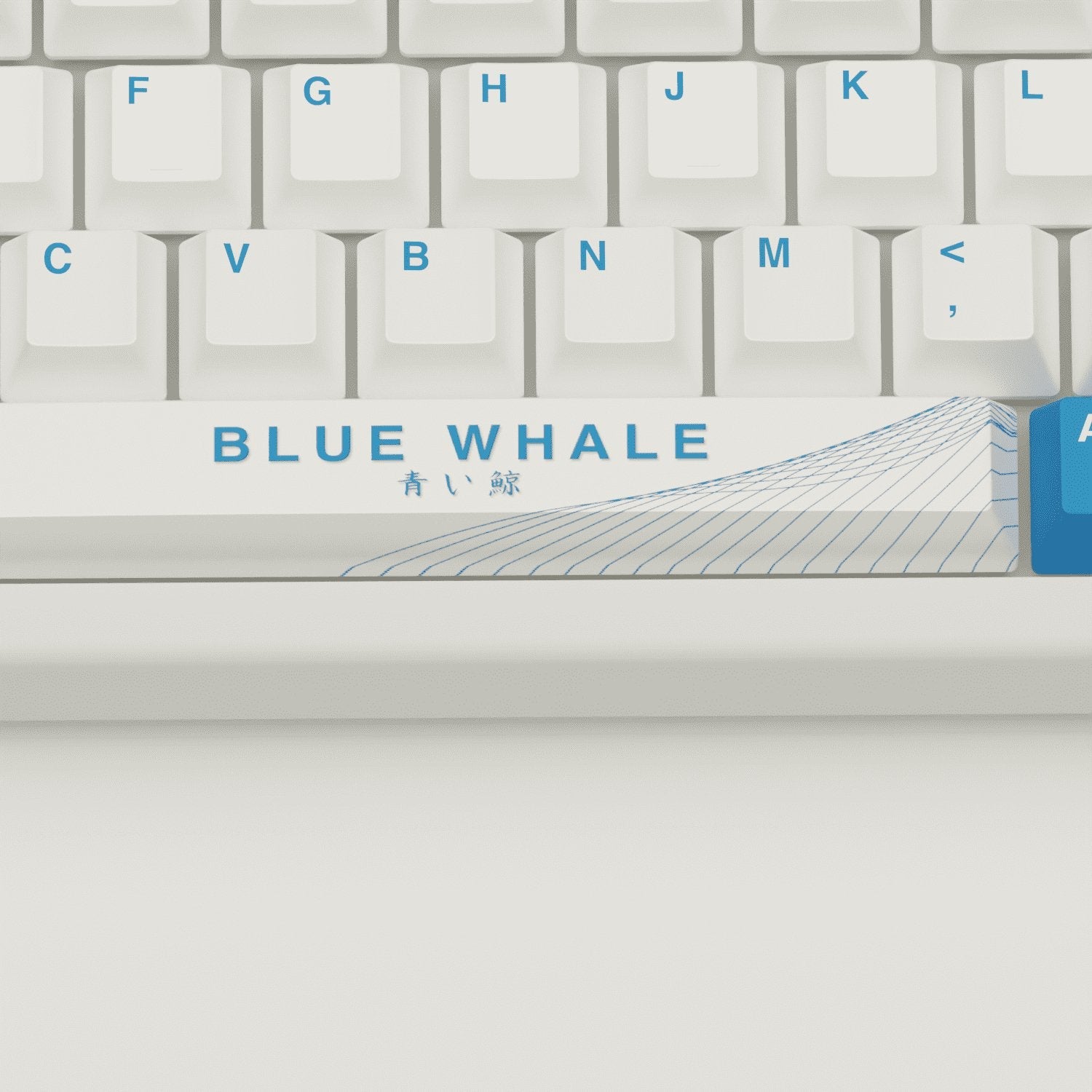 Blue Whale Design Keycaps and Mechanical Keyboard