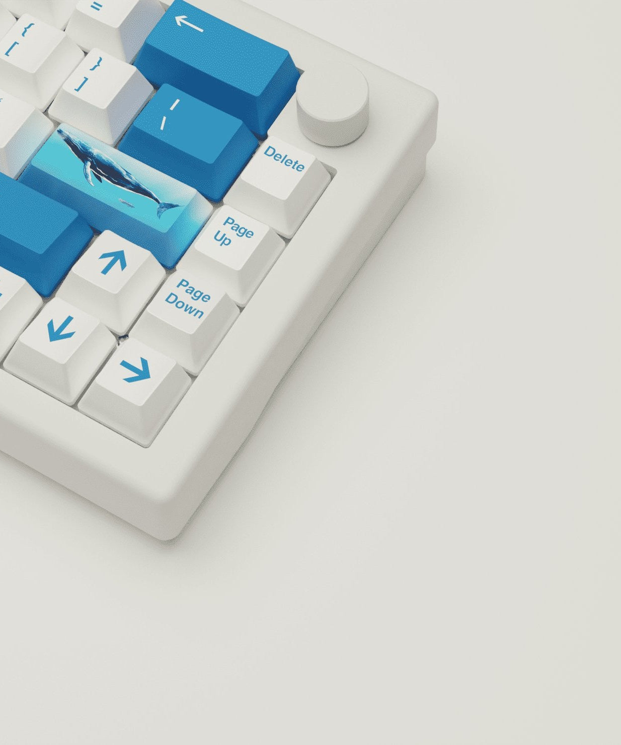 Blue Whale Design Keycaps and Mechanical Keyboard