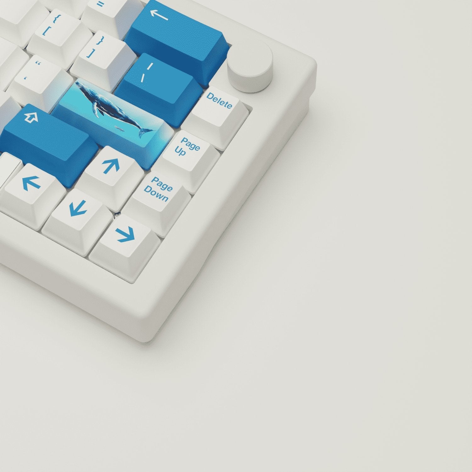 Blue Whale Design Keycaps and Mechanical Keyboard