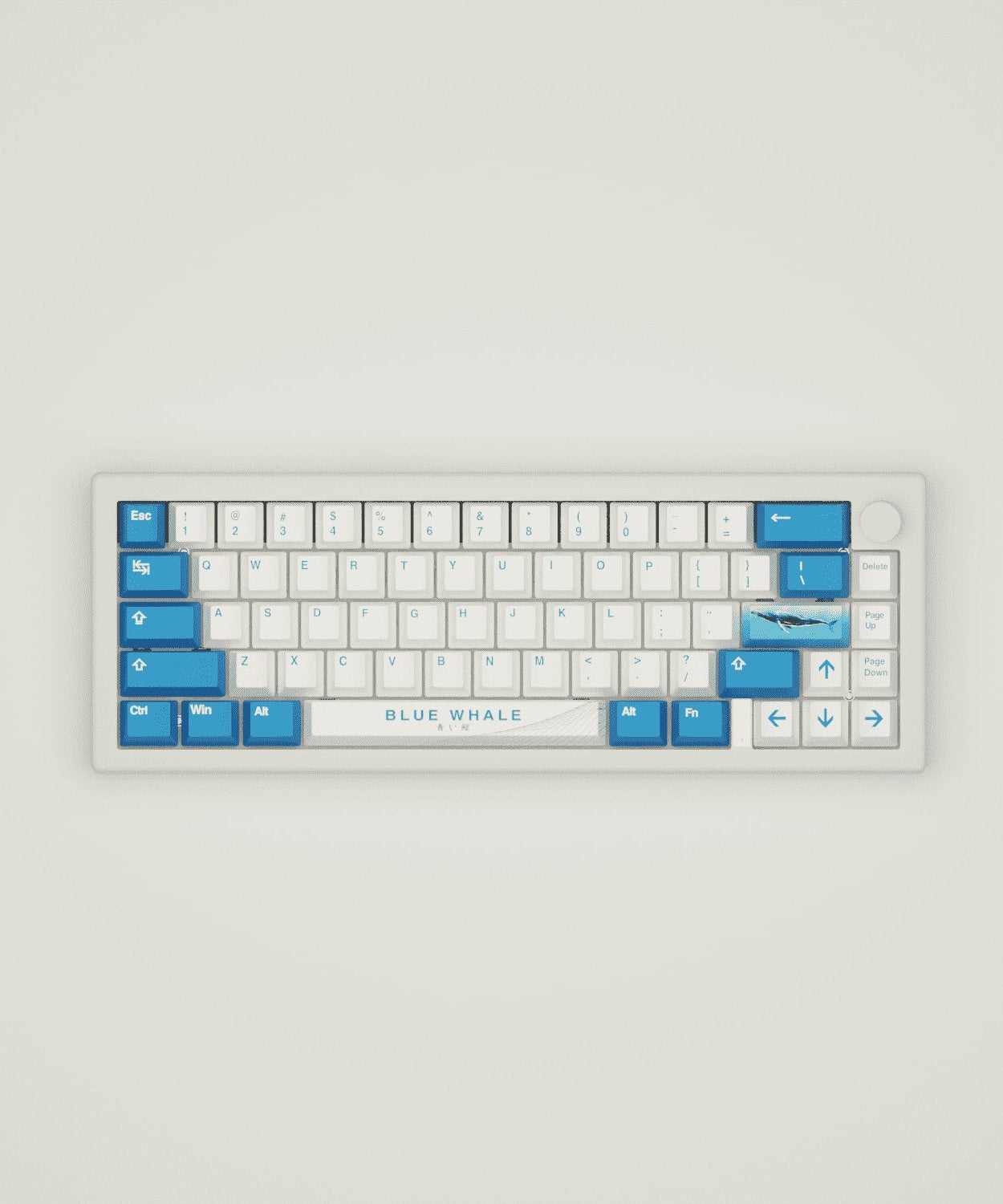 Blue Whale Design Keycaps and Mechanical Keyboard