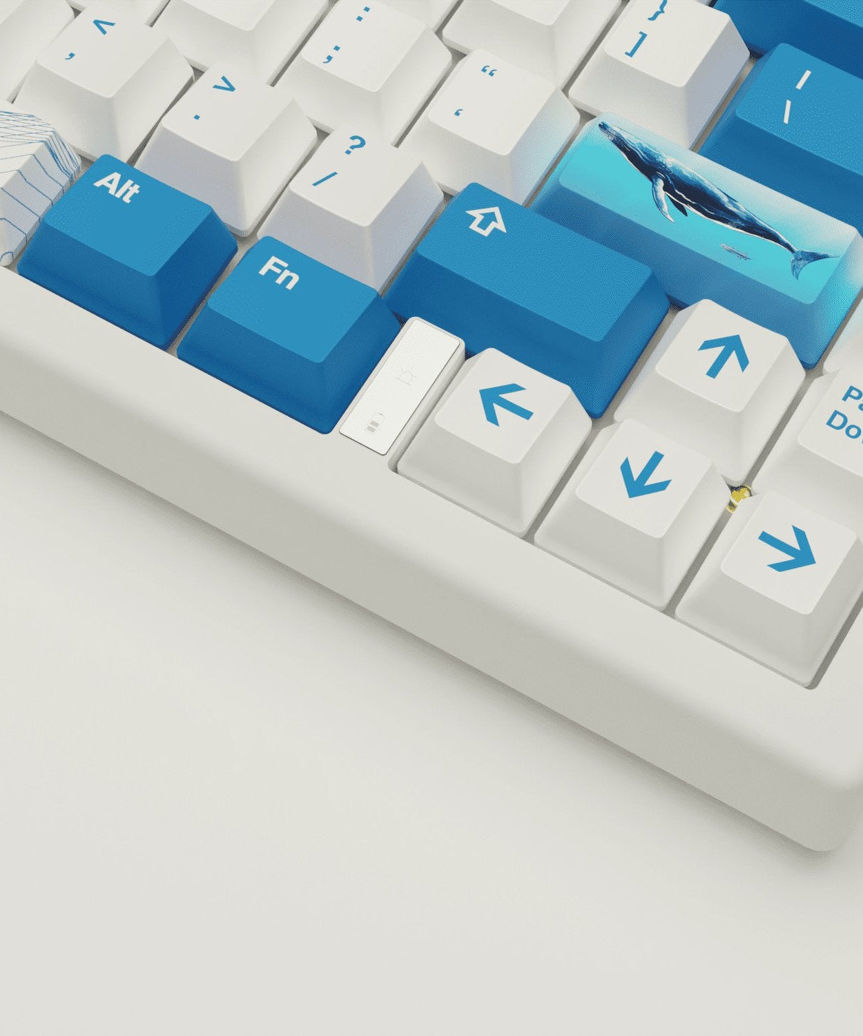 Blue Whale Design Keycaps and Mechanical Keyboard