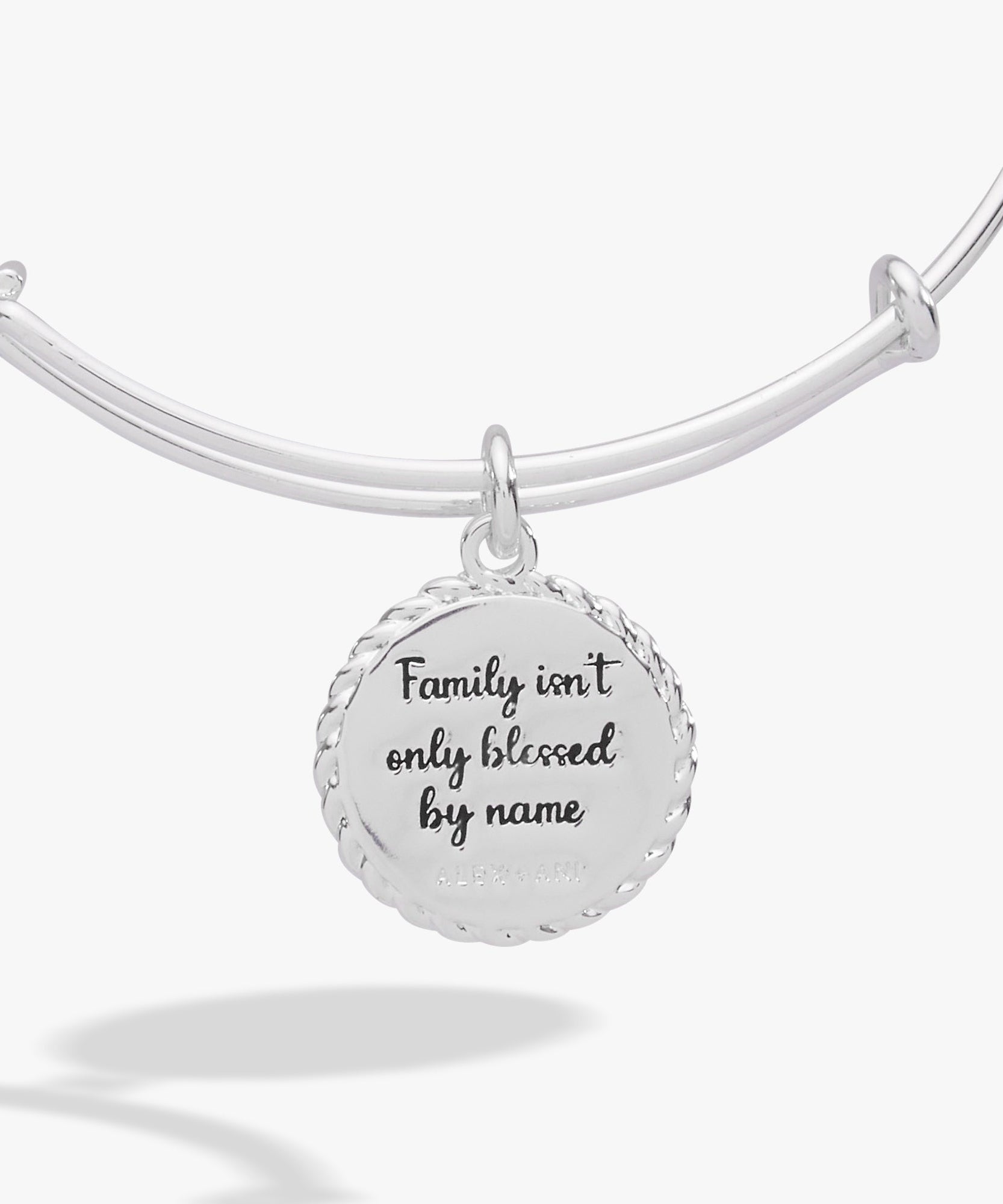 Bonus Mom 'Family Isn't Only Blessed By Name' Charm Bangle