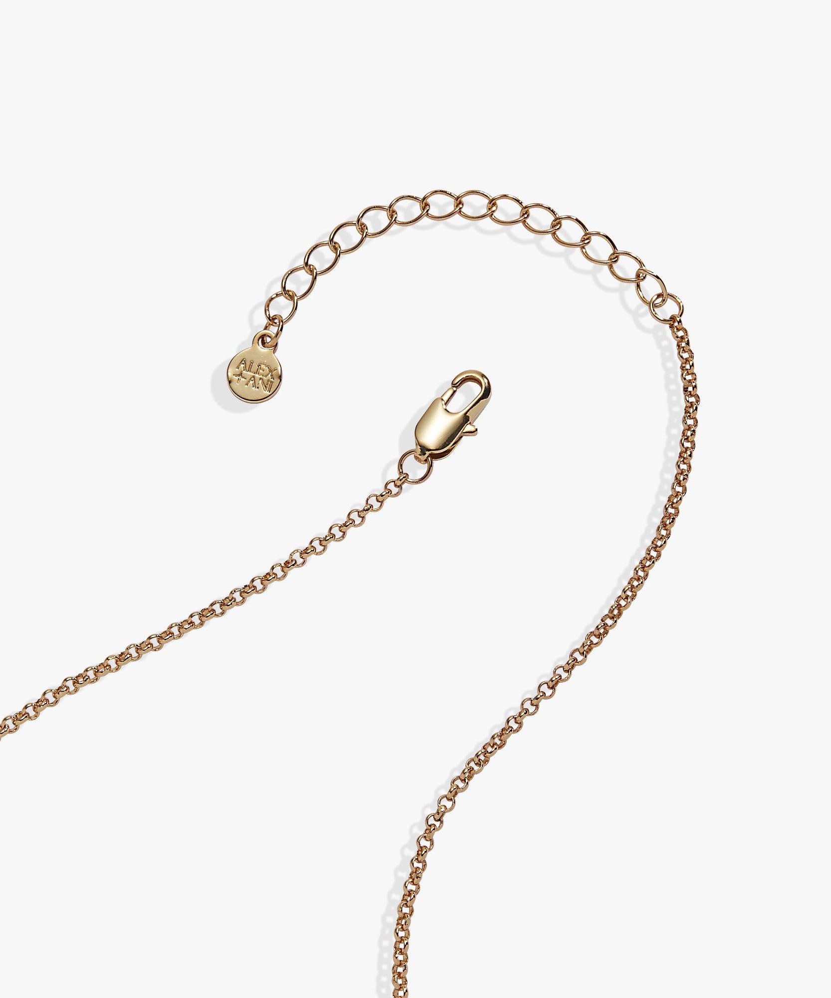 'A Reader Lives A Thousand Lives' Book Club Locket Pendant