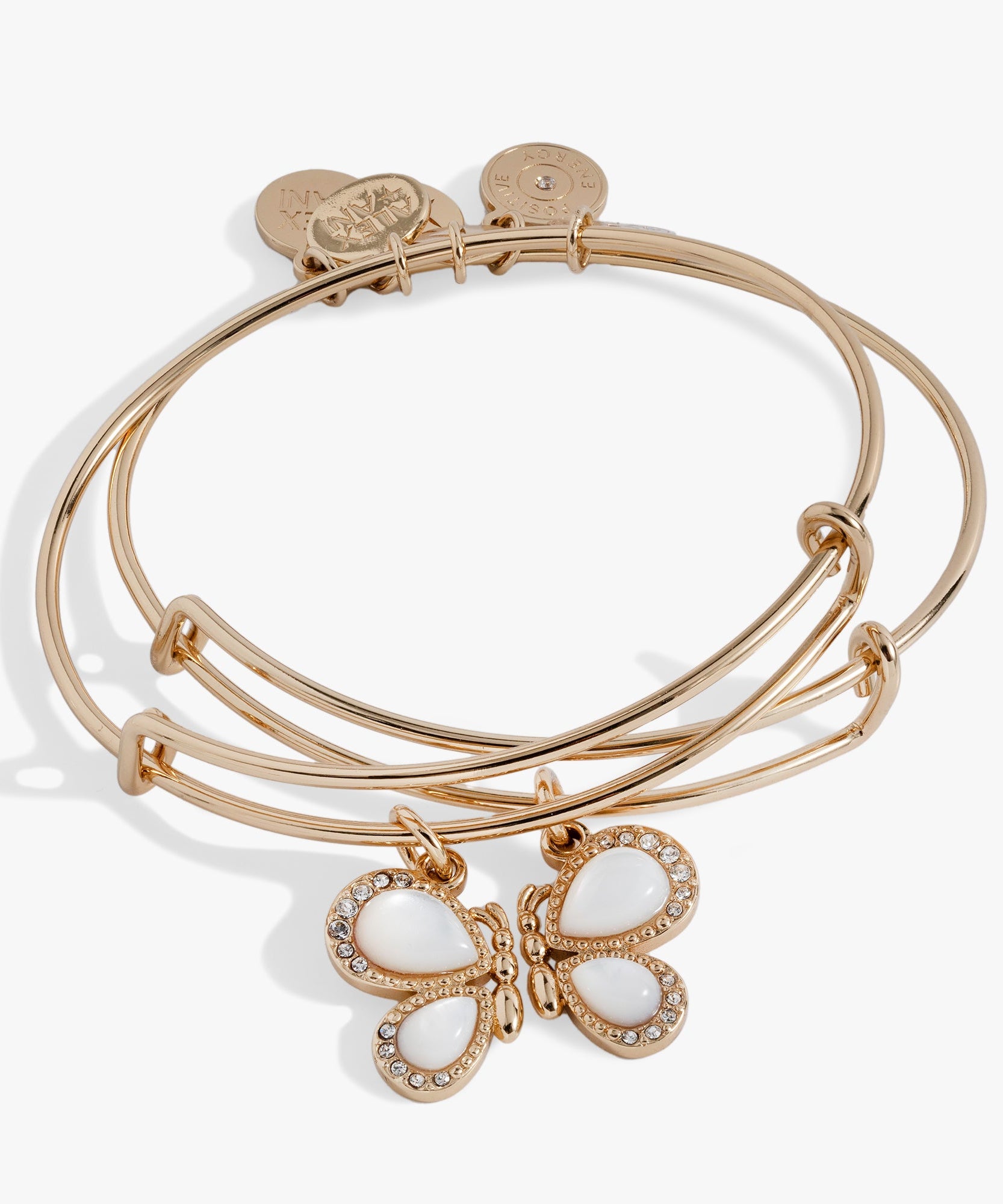 Perfect Pairs- Butterfly Wings Bangle Set of 2