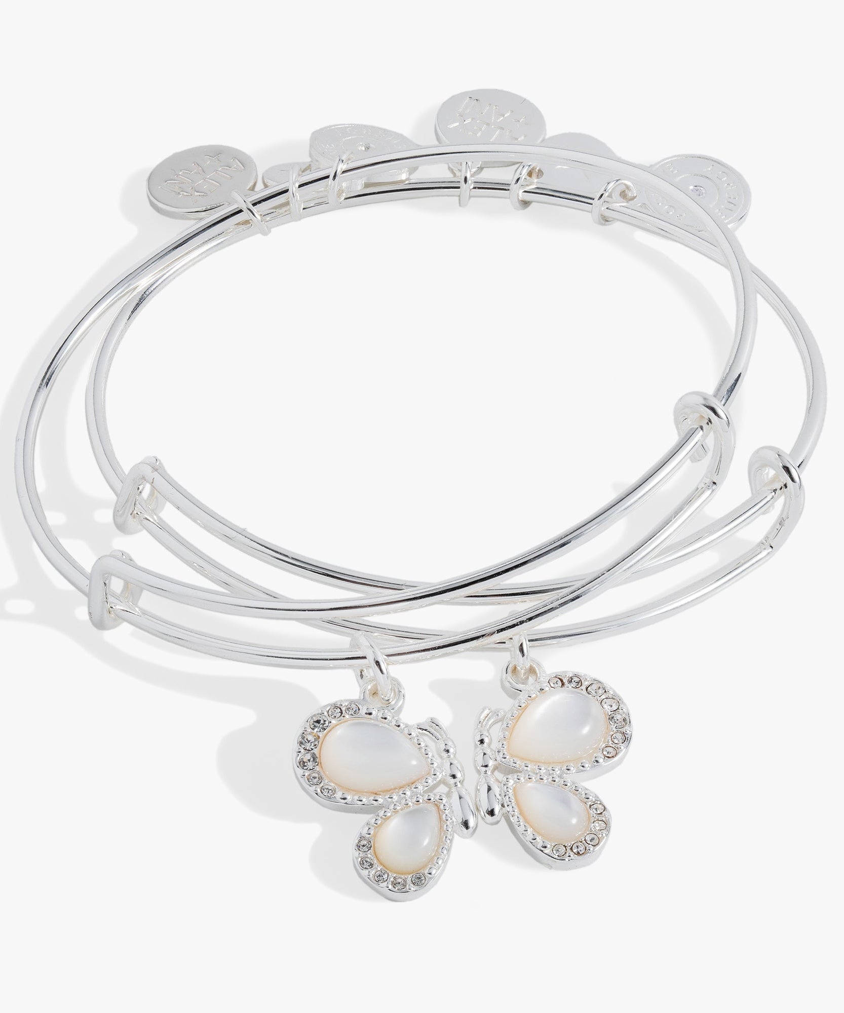 Perfect Pairs- Butterfly Wings Bangle Set of 2