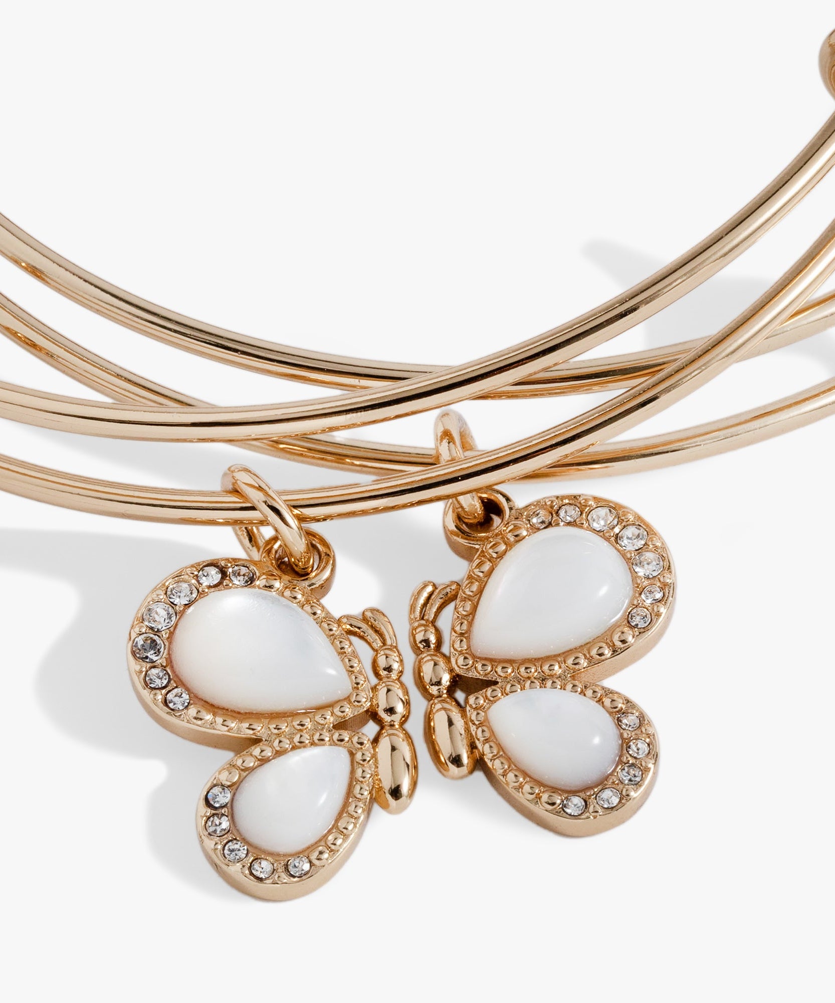 Perfect Pairs- Butterfly Wings Bangle Set of 2