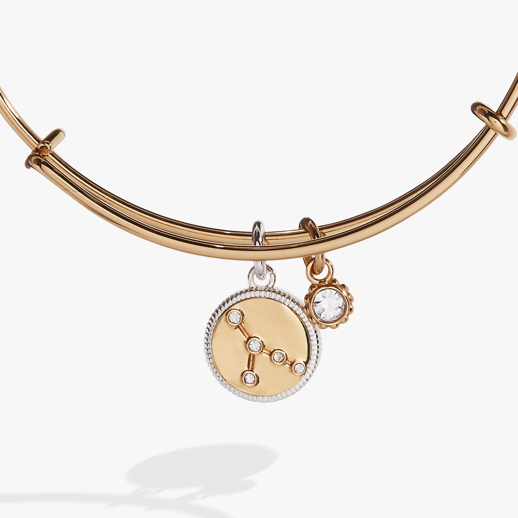 Cancer Zodiac Charm Bangle