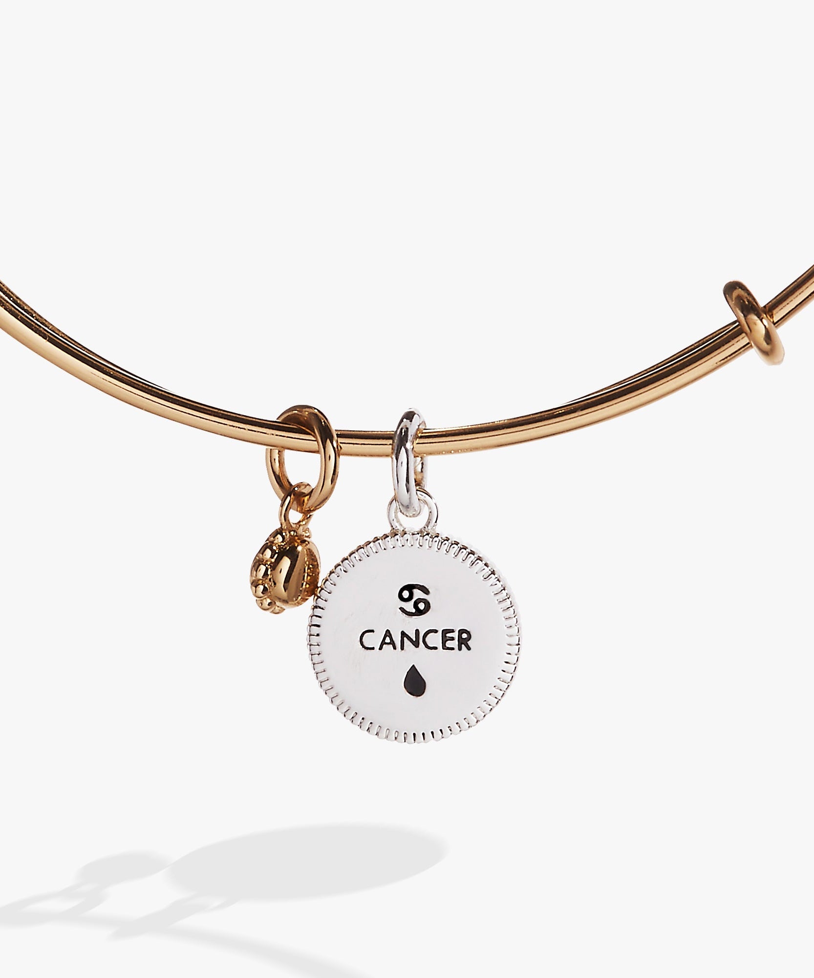 Cancer Zodiac Charm Bangle