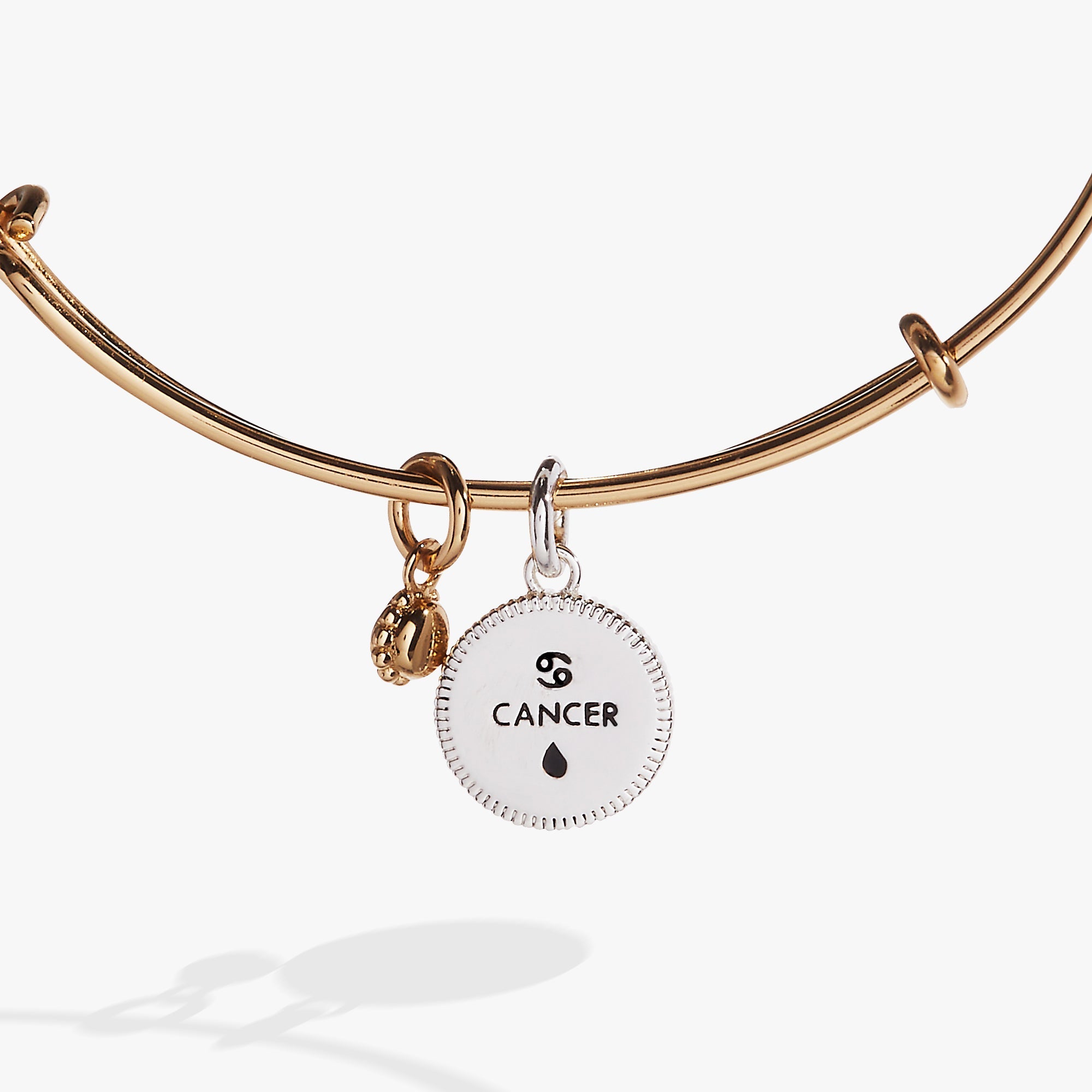 Cancer Zodiac Charm Bangle