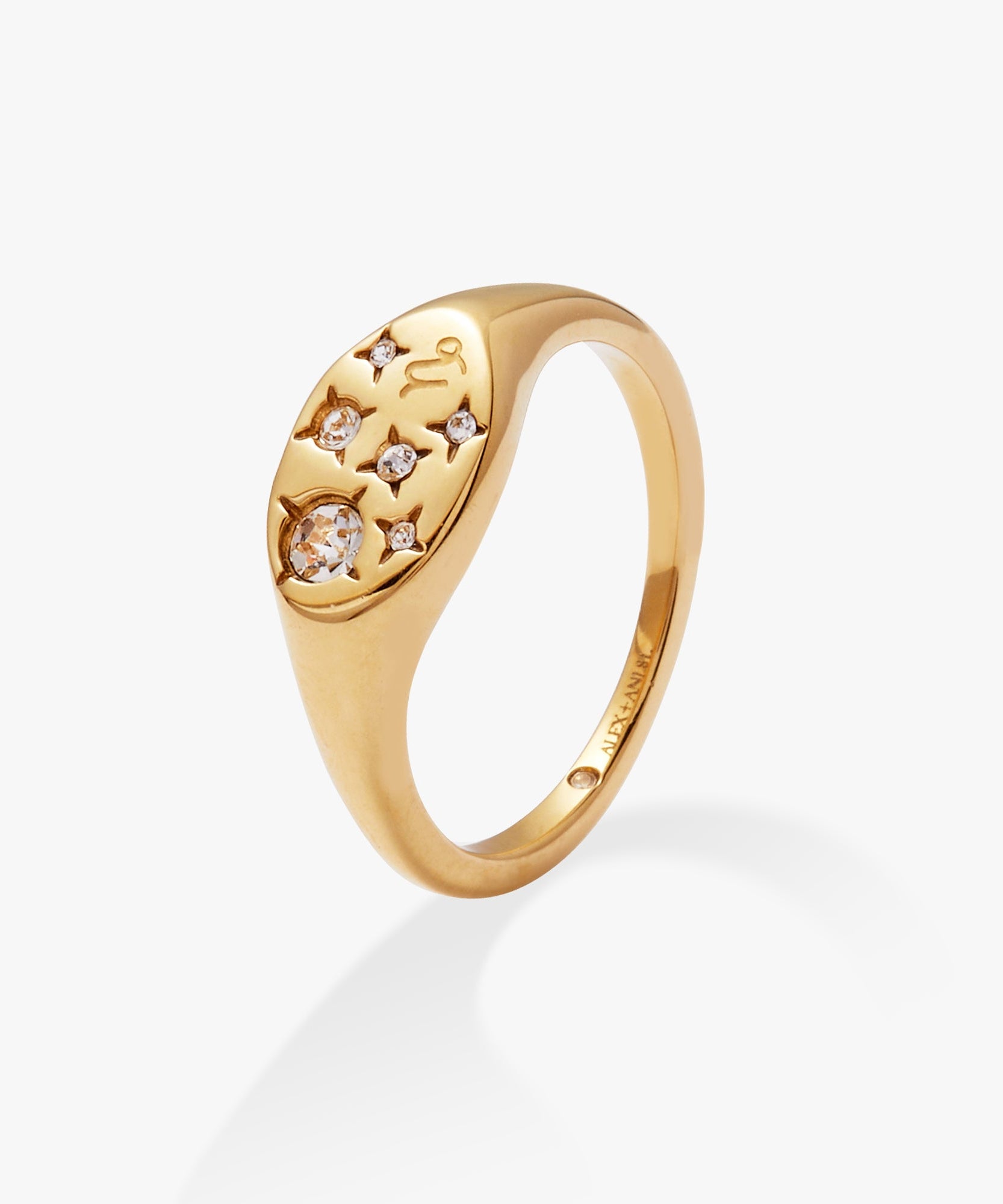 Capricorn Zodiac Ring