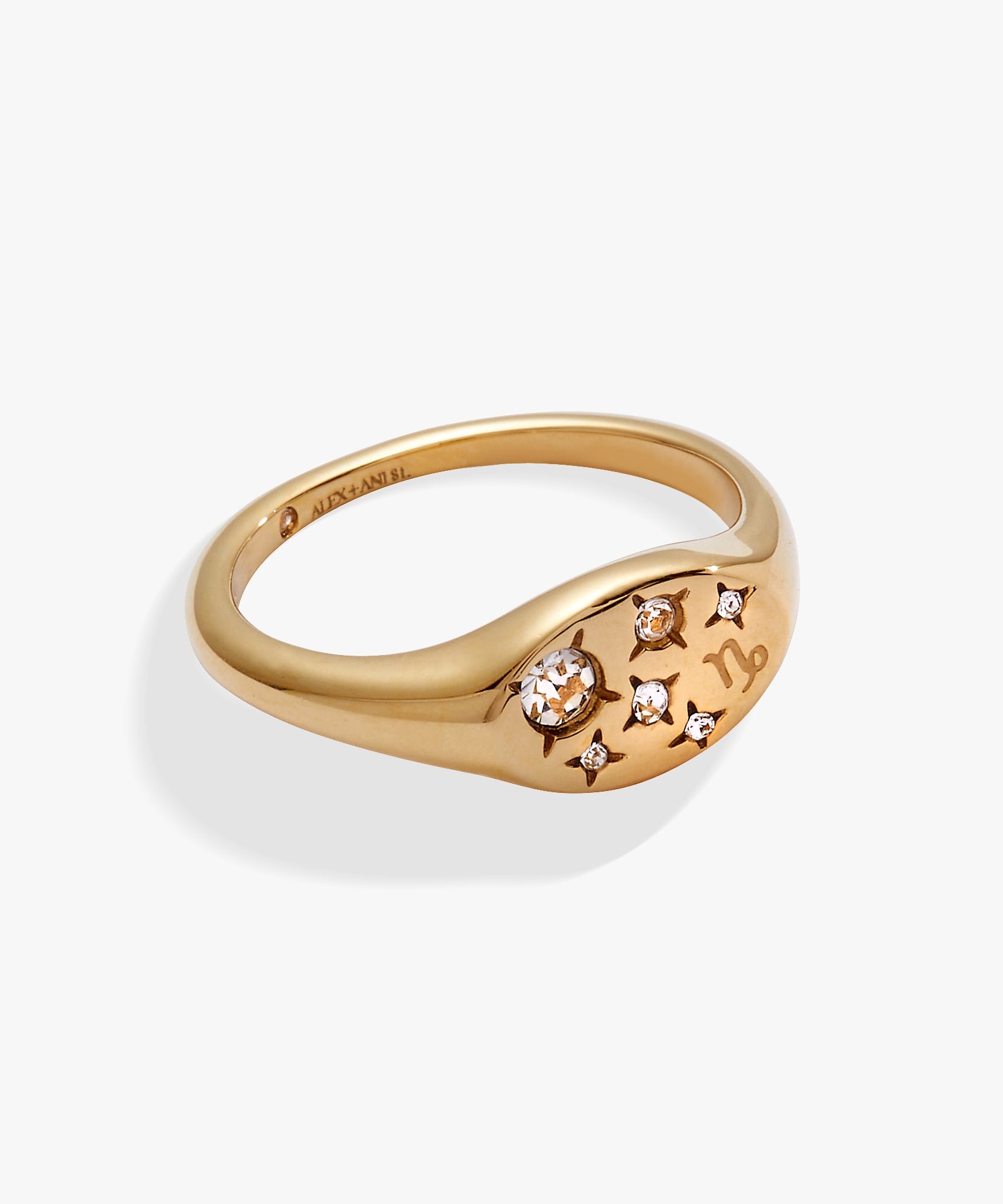 Capricorn Zodiac Ring