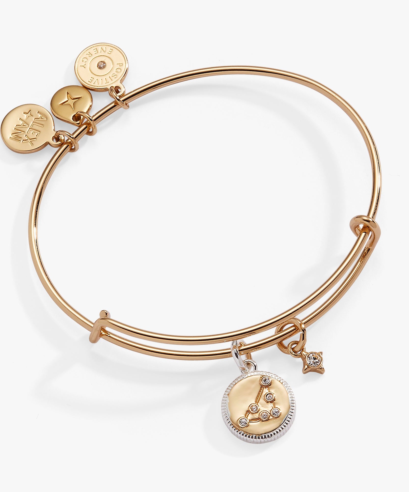 Capricorn Zodiac Charm Bangle