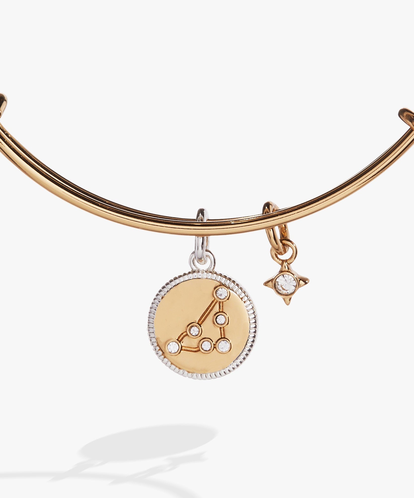 Capricorn Zodiac Charm Bangle