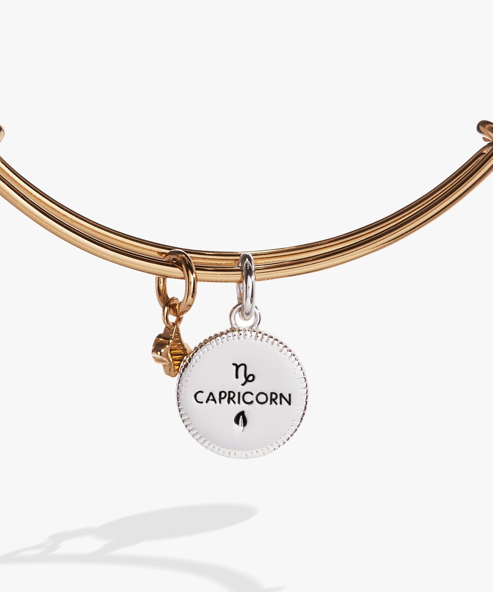Capricorn Zodiac Charm Bangle