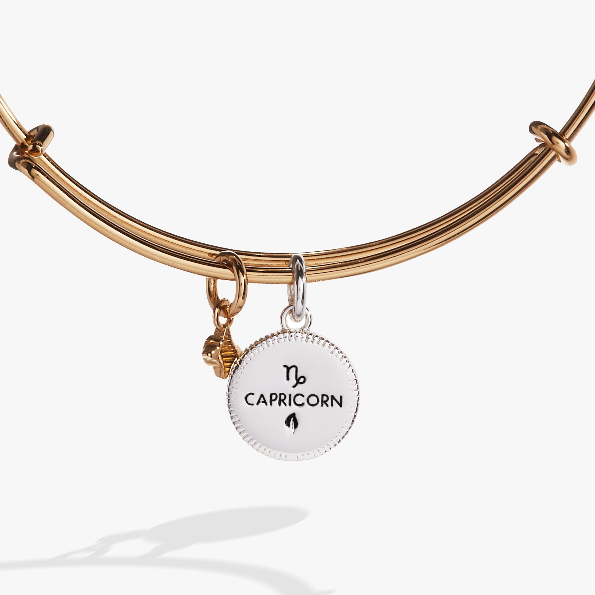 Capricorn Zodiac Charm Bangle