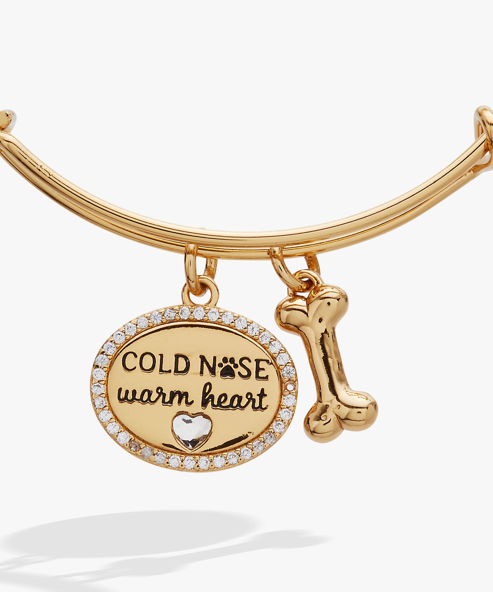 Cold Nose, Warm Heart Charm Bangle