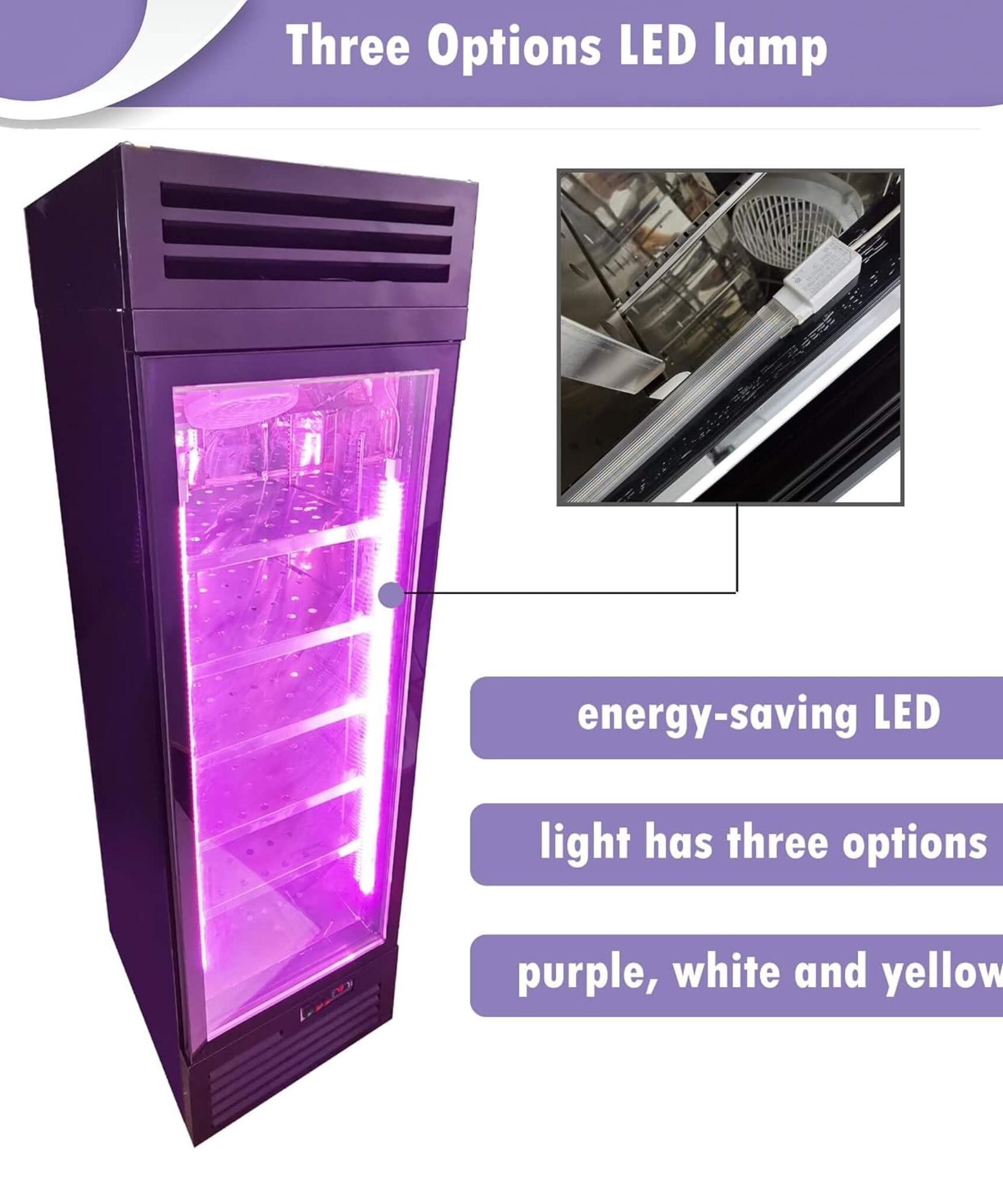 Commercial 400L Stainless Steel 110V Meat Dry Aging Refrigerator (SAK15268)