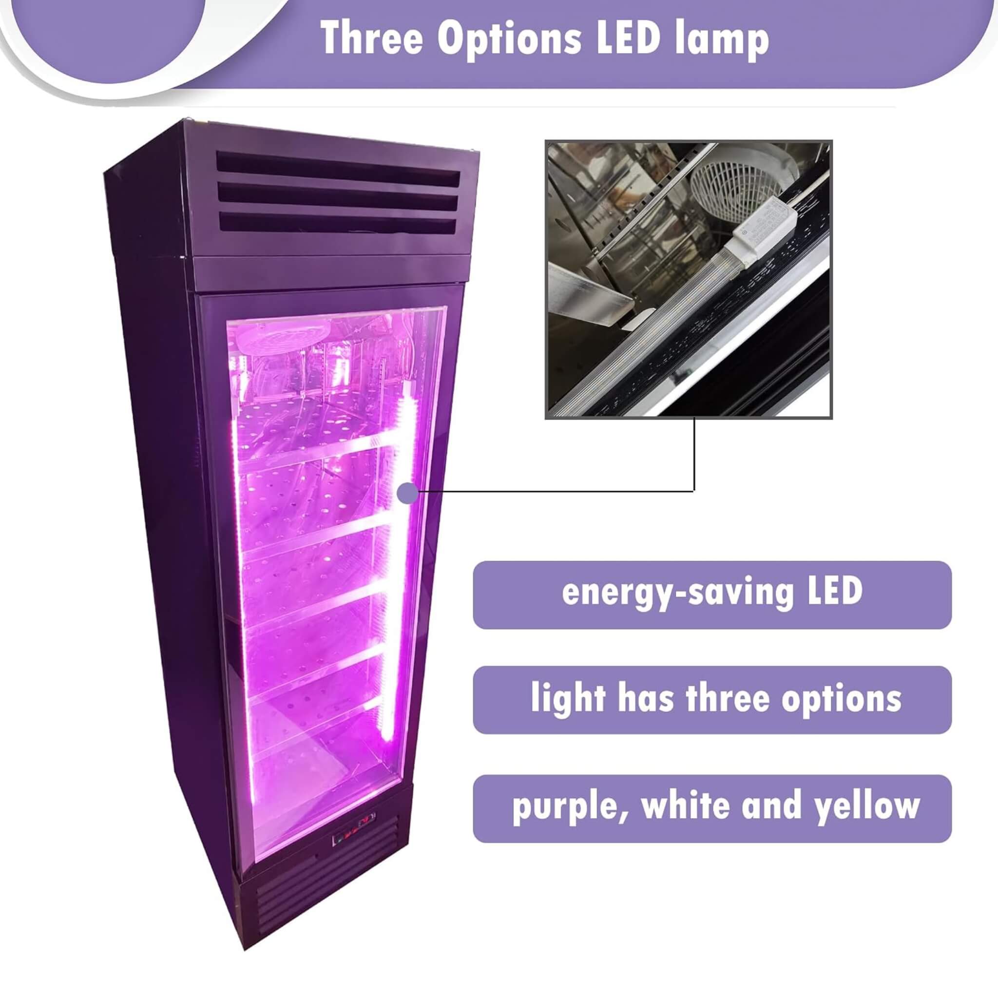 Commercial 400L Stainless Steel 110V Meat Dry Aging Refrigerator (SAK15268)