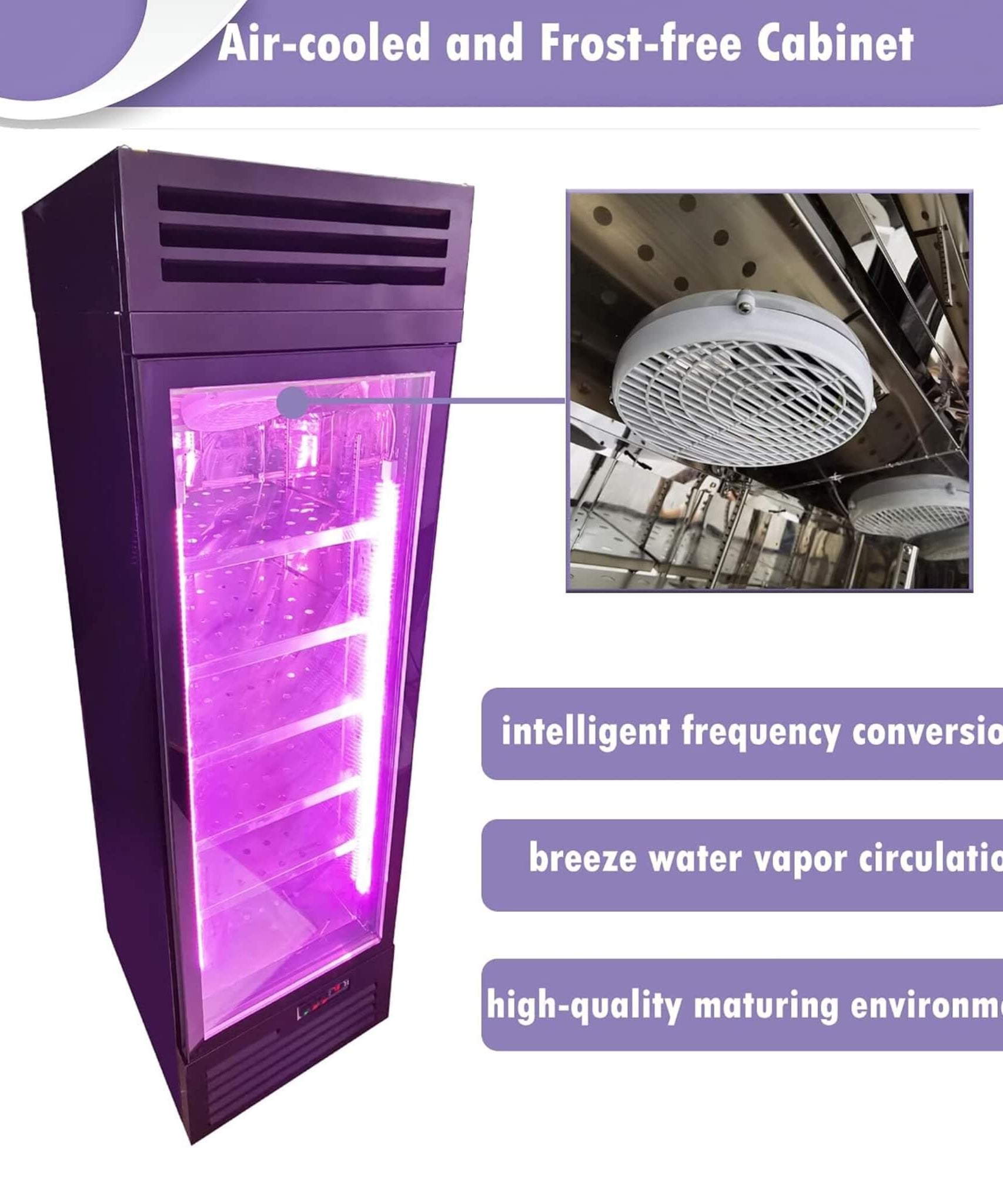 Commercial 400L Stainless Steel 110V Meat Dry Aging Refrigerator (SAK15268)