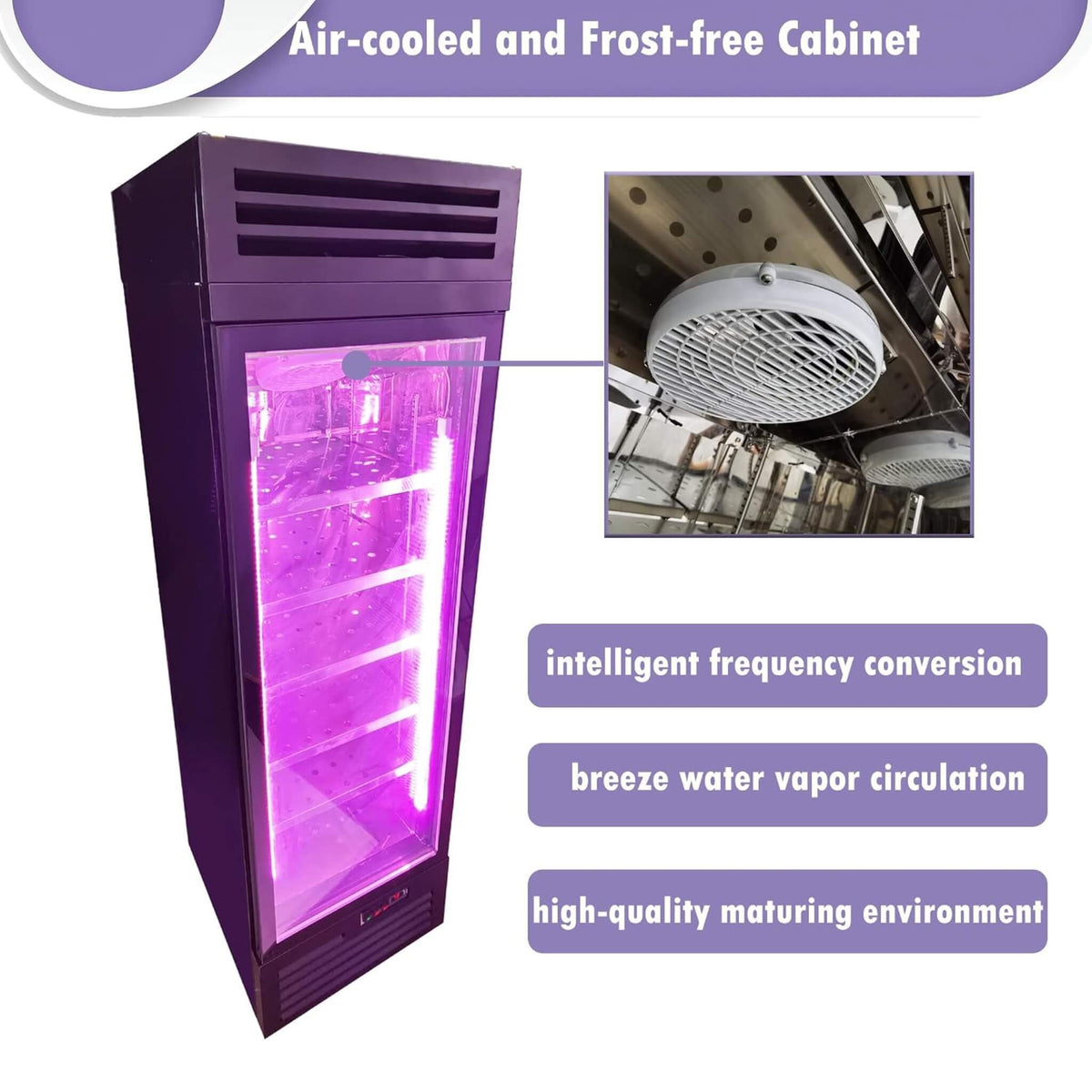 Commercial 400L Stainless Steel 110V Meat Dry Aging Refrigerator (SAK15268)