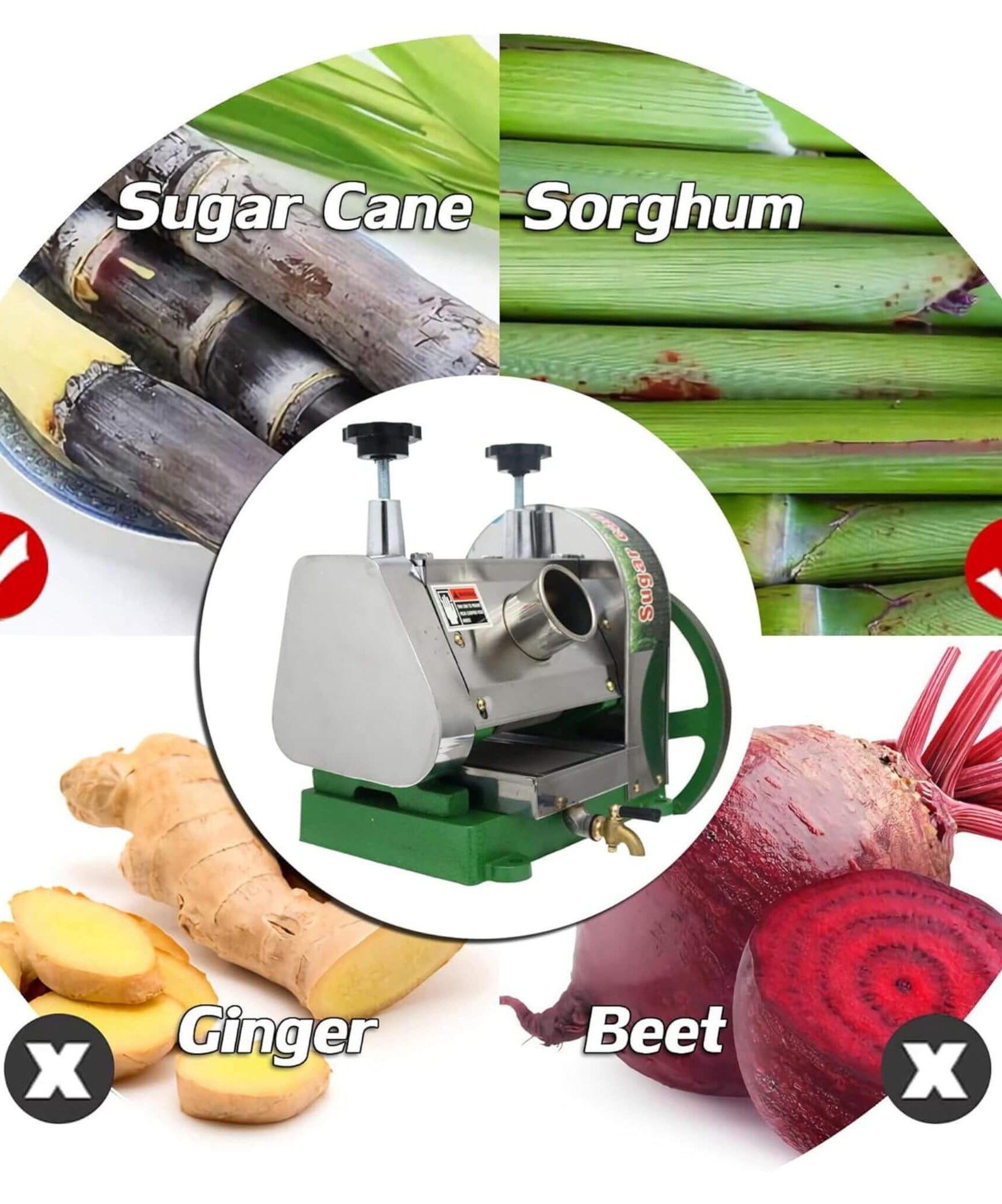 Heavy-Duty Commercial Manual Stainless Steel Sugar Cane Juicer (SAK81426)